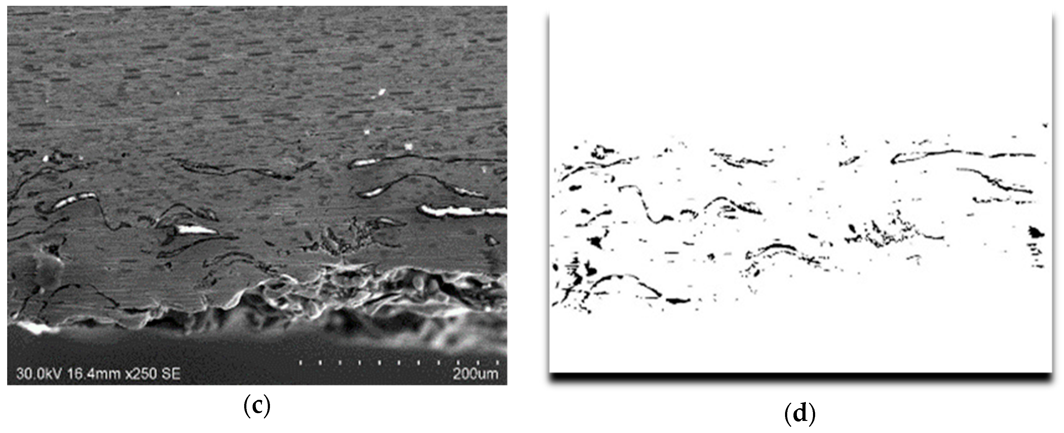 Coatings 09 00507 g007b