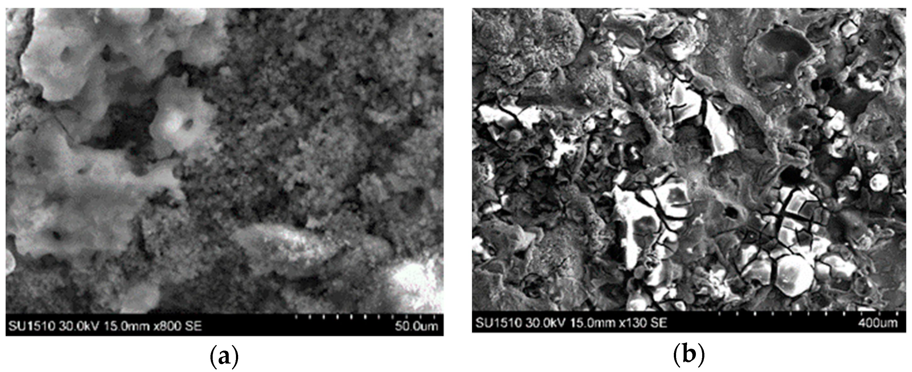 Coatings 09 00507 g010