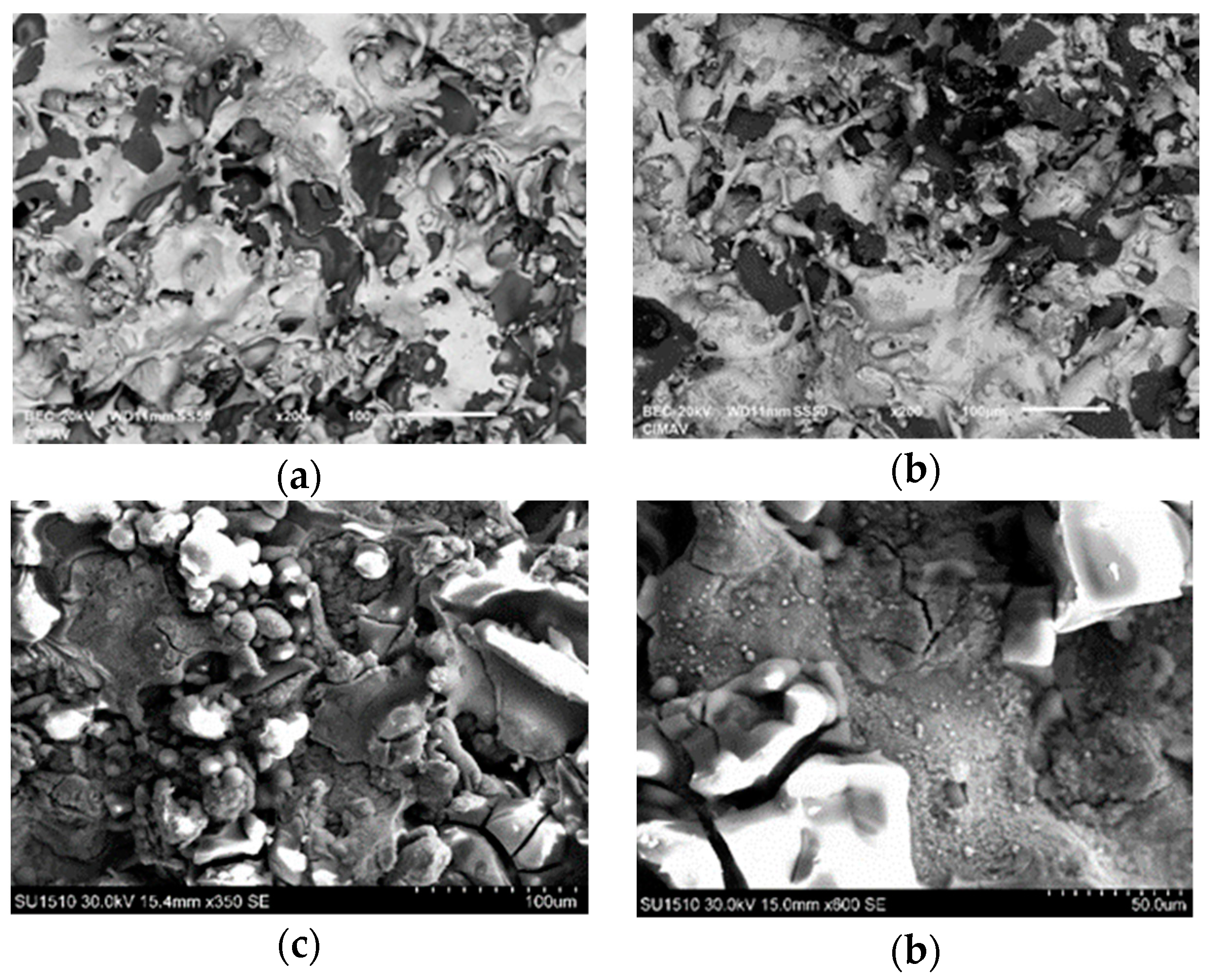 Coatings 09 00507 g015