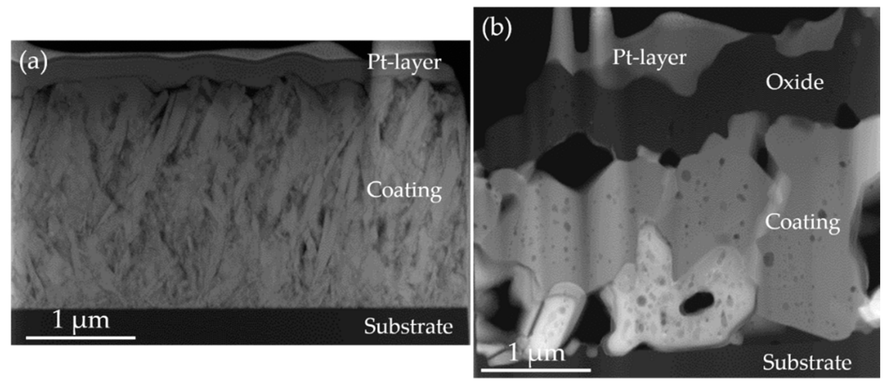 Coatings 09 00510 g005 Coatings 09 00510 g005