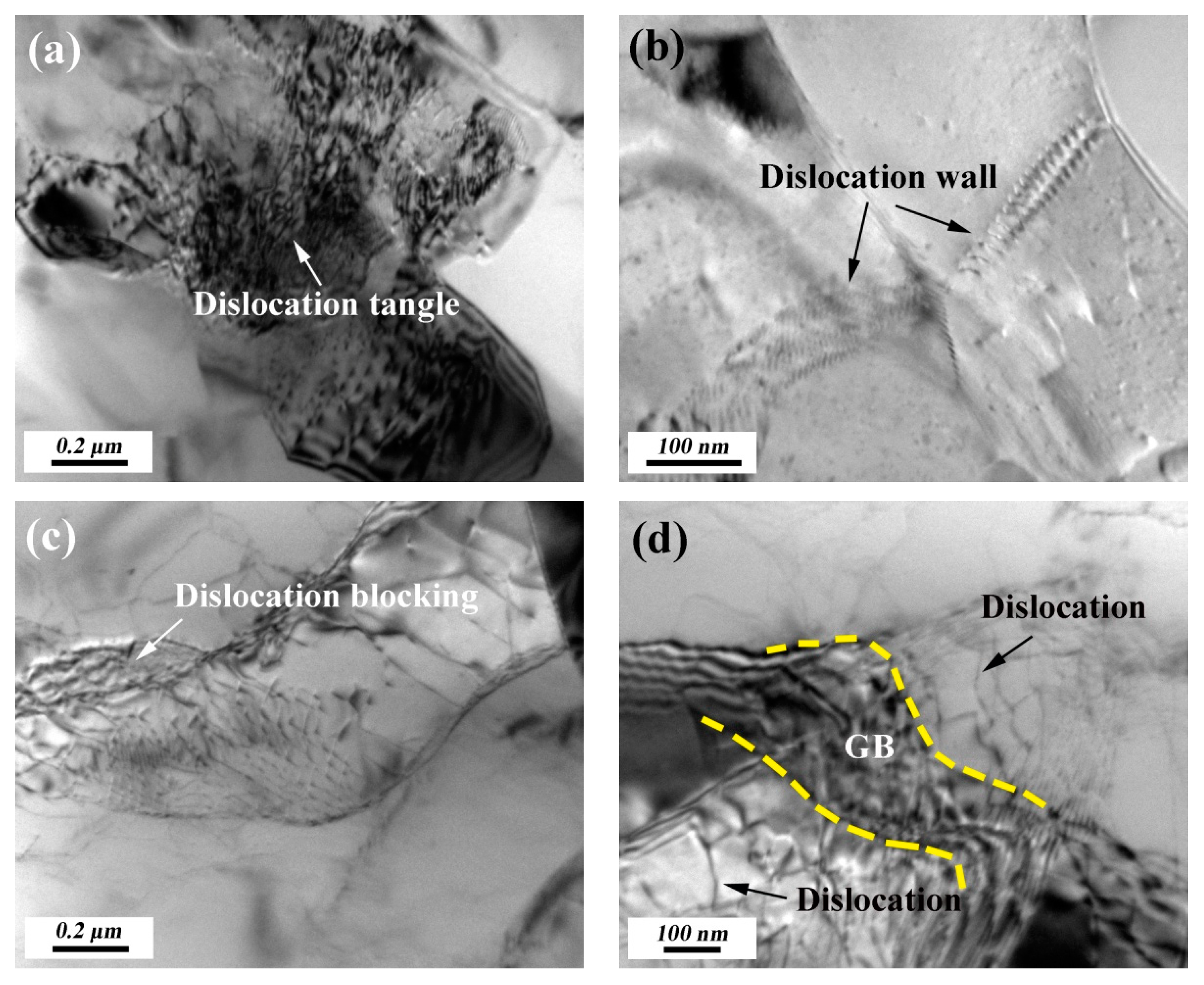 Coatings 09 00516 g003 Coatings 09 00516 g003
