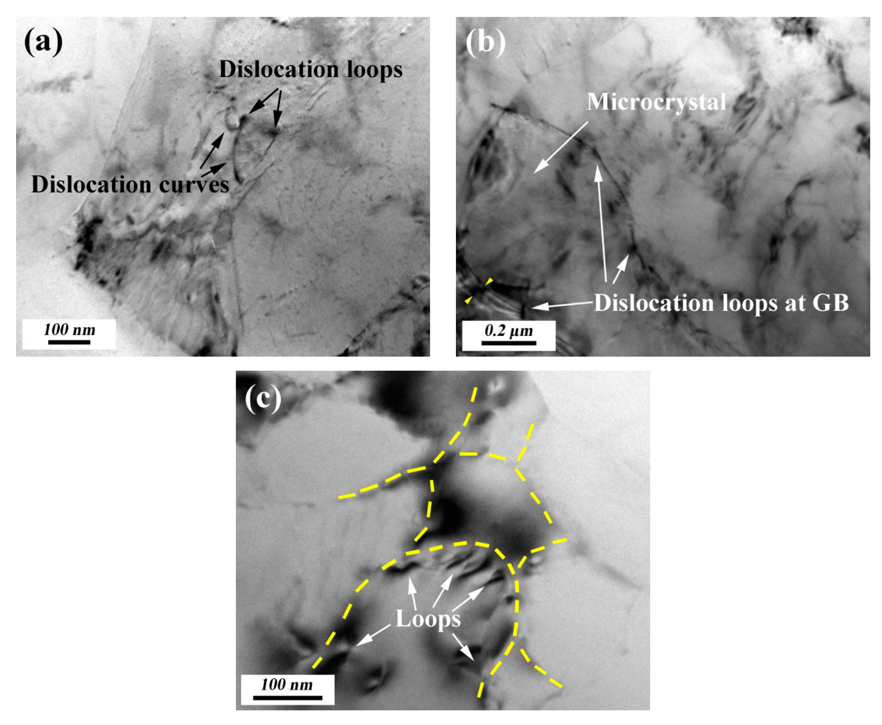 Coatings 09 00516 g004 Coatings 09 00516 g004