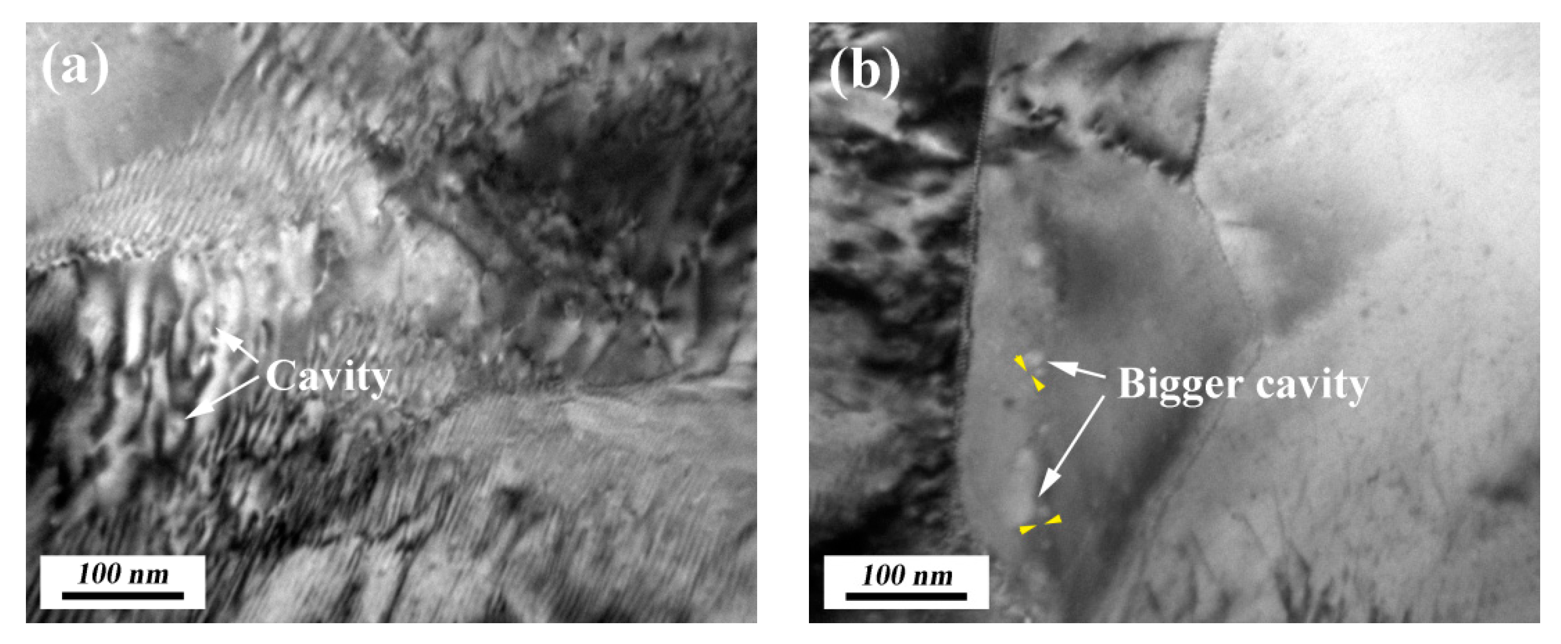 Coatings 09 00516 g005 Coatings 09 00516 g005