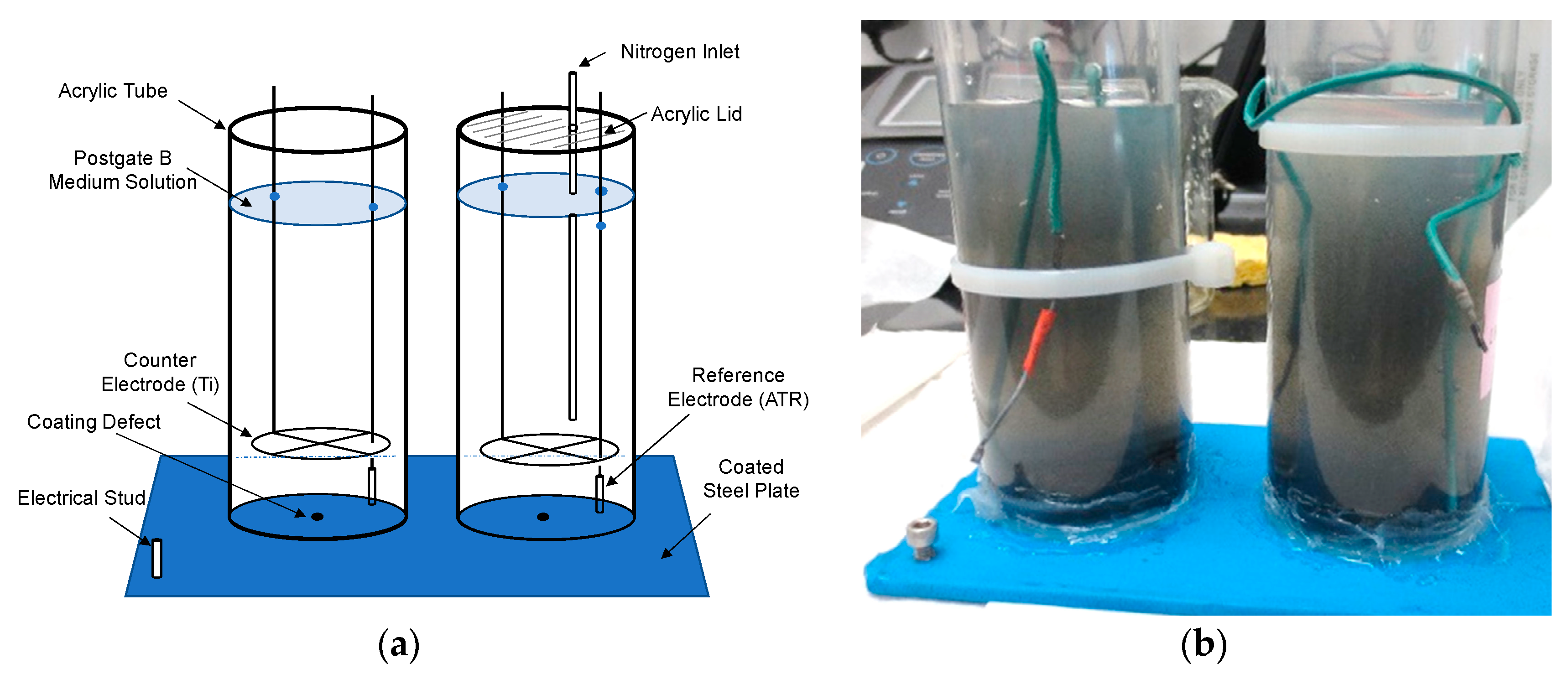 Coatings 09 00518 g001 Coatings 09 00518 g001