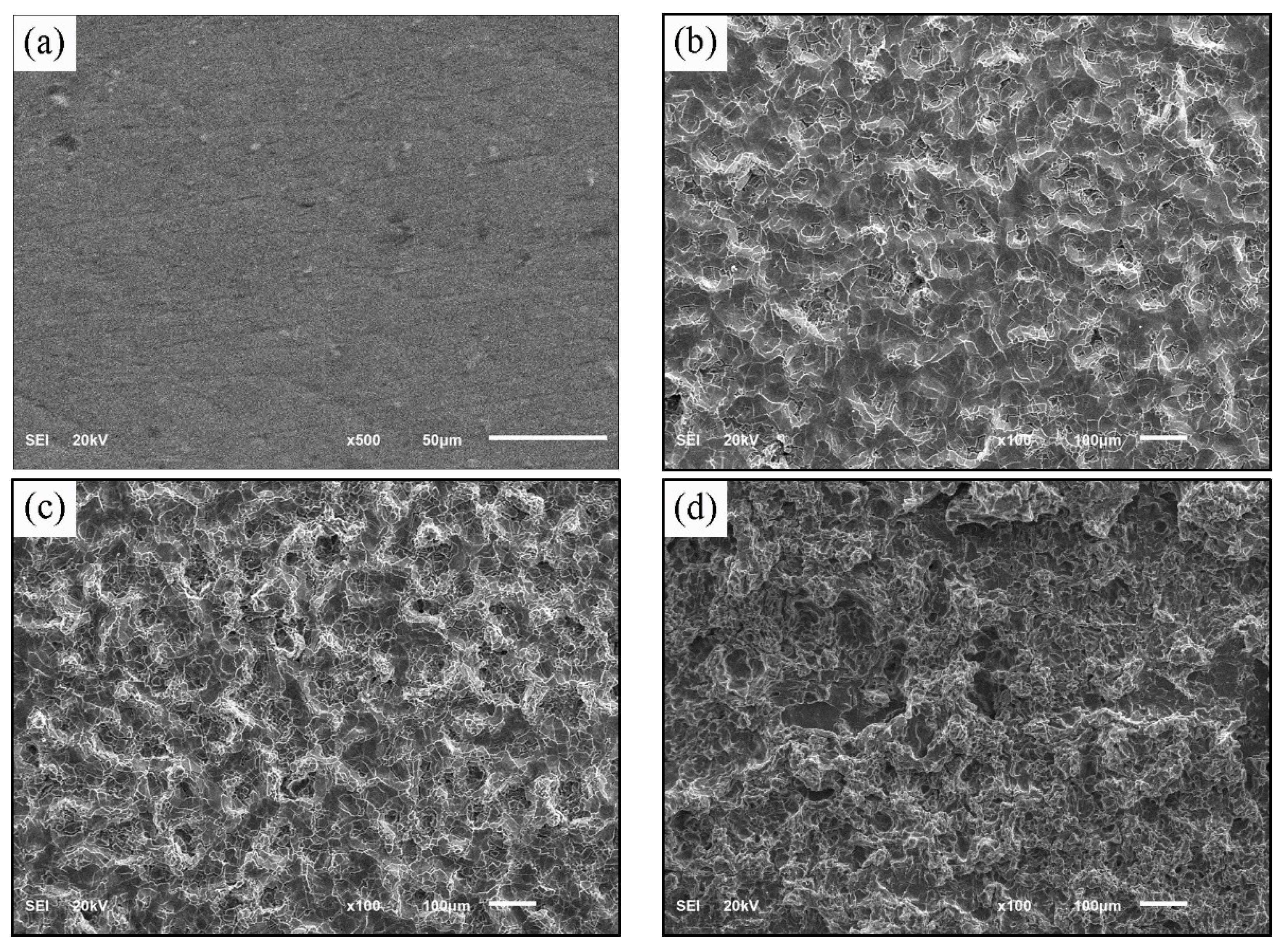 Coatings 09 00521 g003