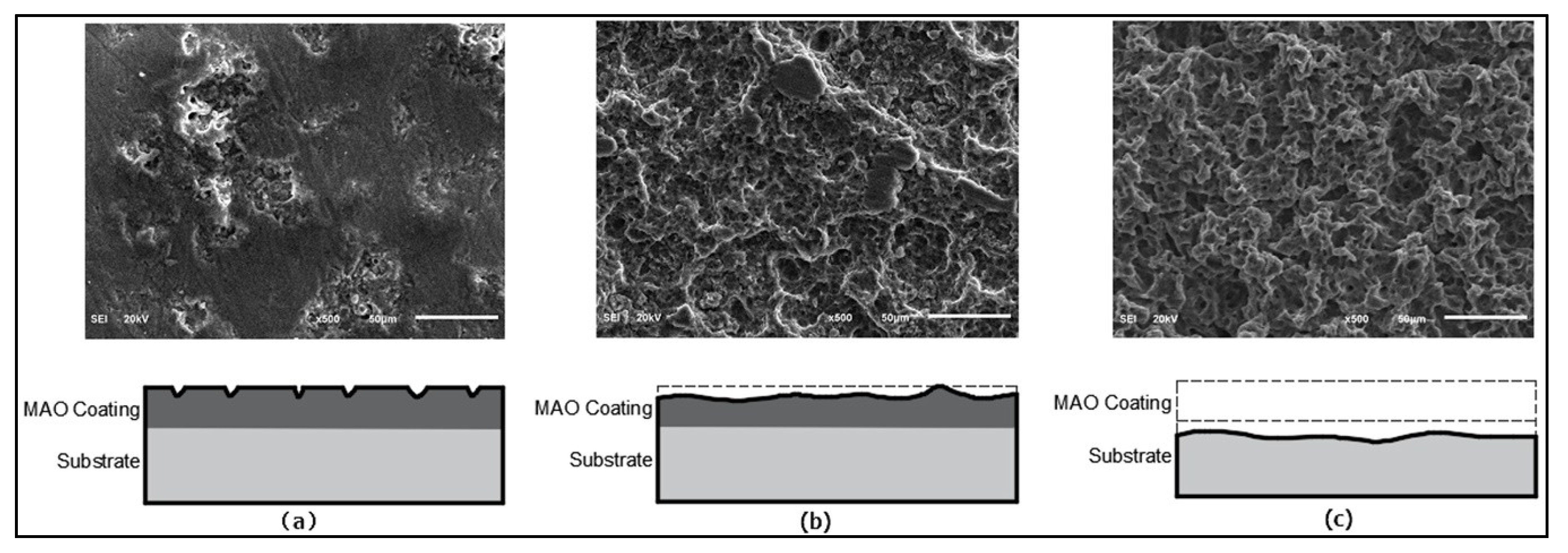 Coatings 09 00521 g006