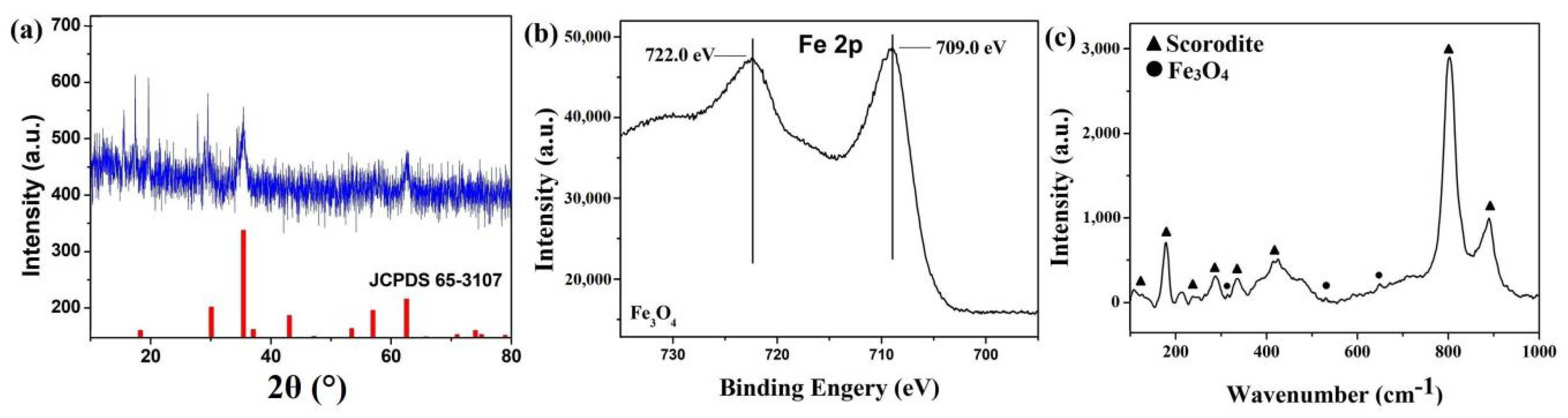Coatings 09 00523 g002