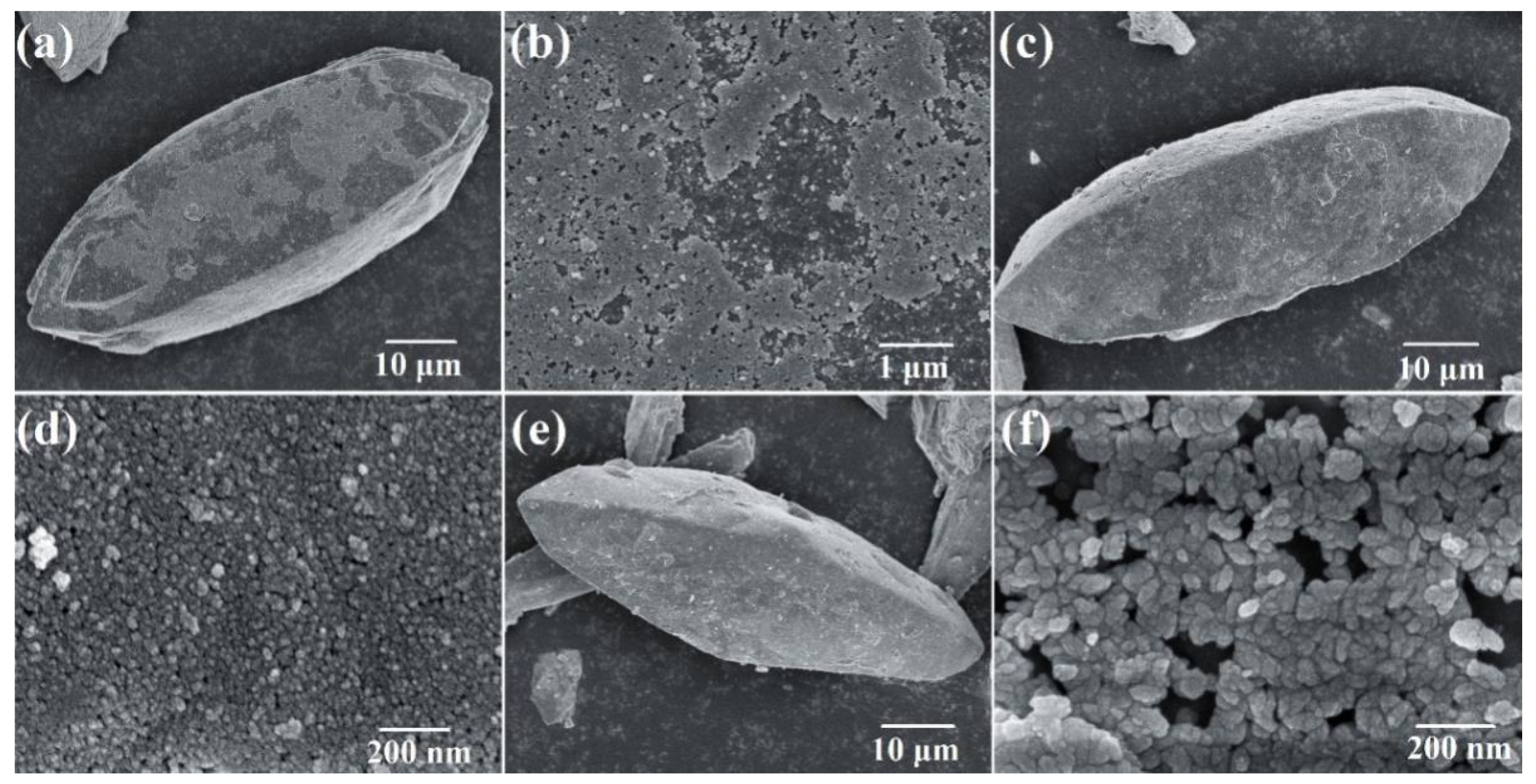 Coatings 09 00523 g003