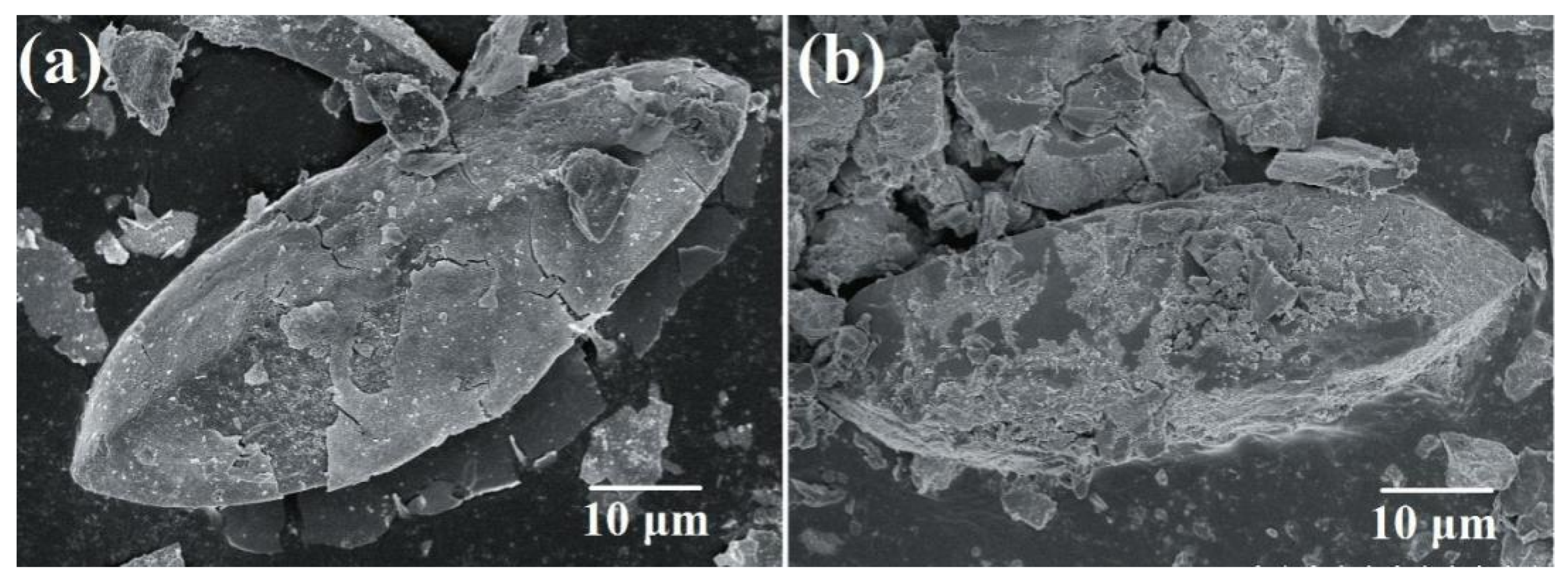 Coatings 09 00523 g004