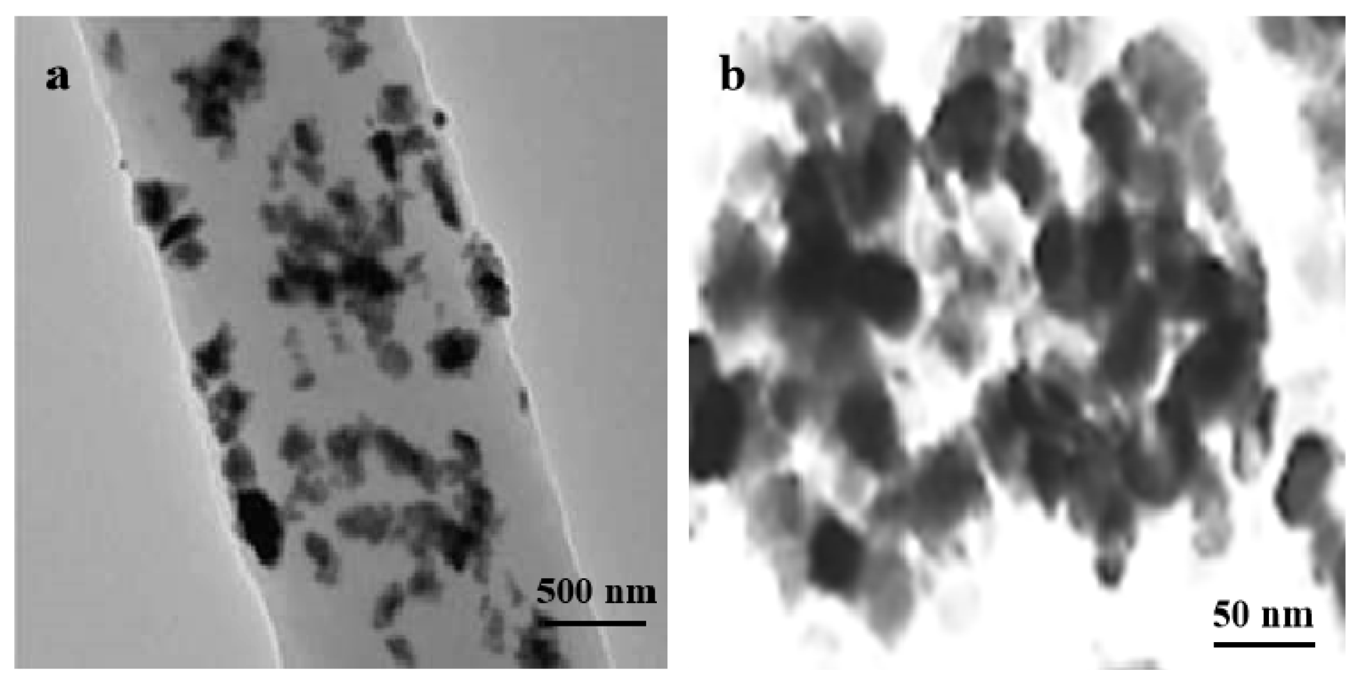 Coatings 09 00525 g003