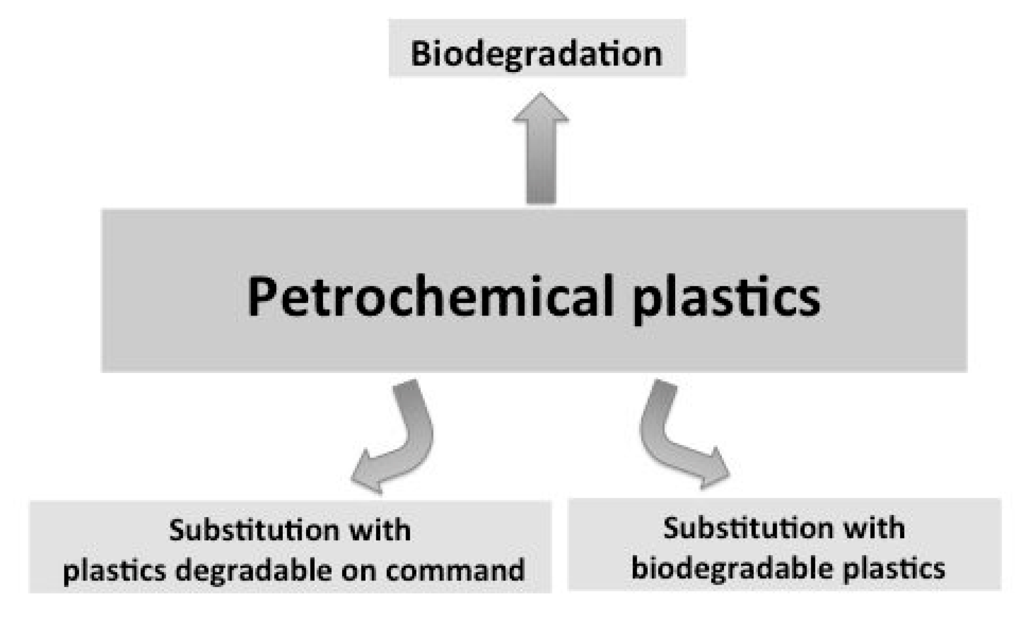 Coatings 09 00526 g002
