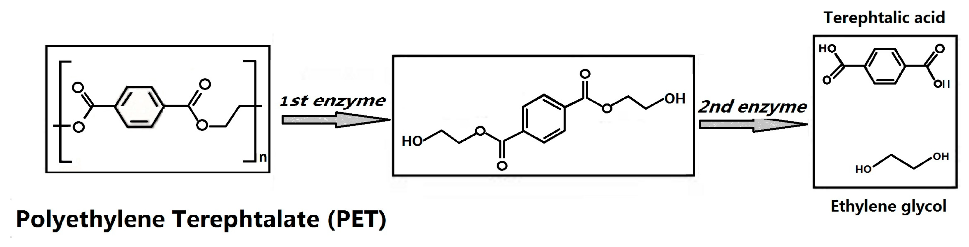 Coatings 09 00526 g003