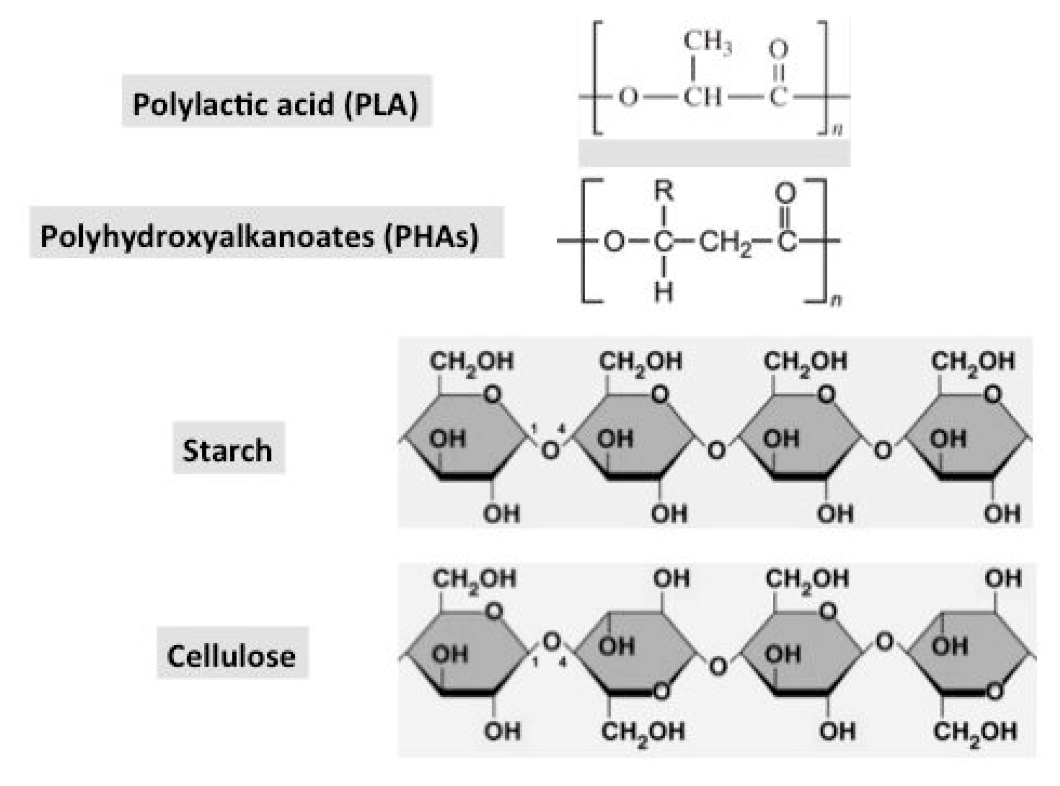 Coatings 09 00526 g004