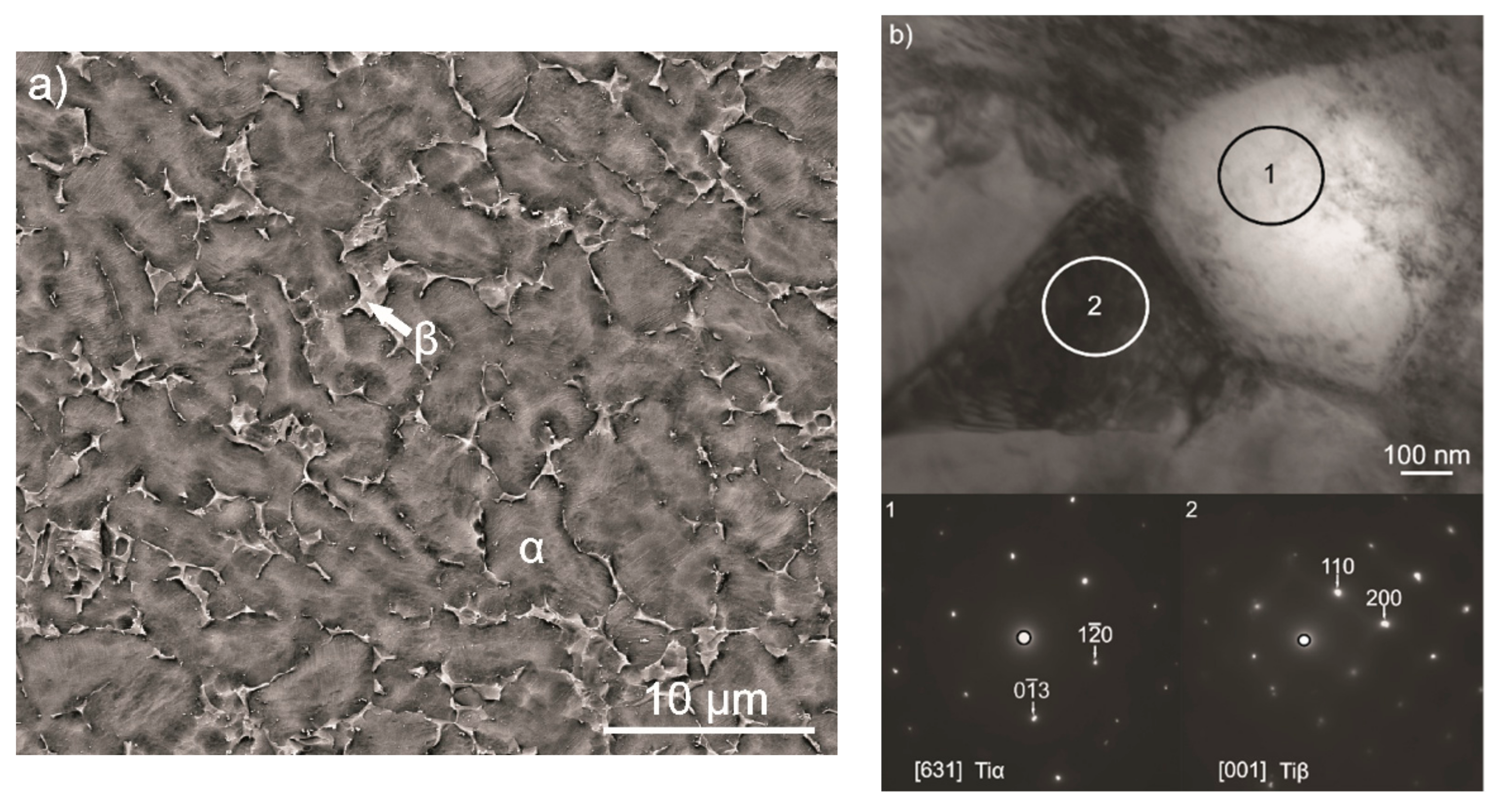 Coatings 09 00530 g002