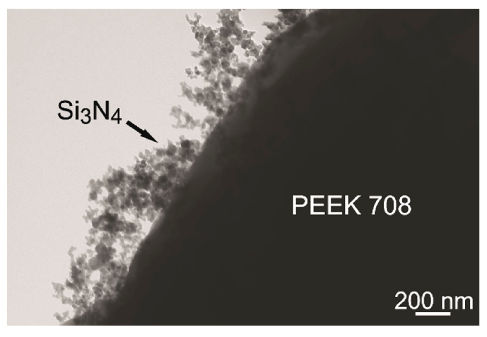 Coatings 09 00530 g007