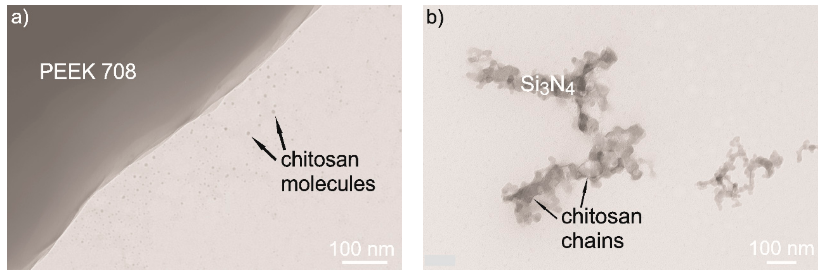 Coatings Free Full Text The Influence Of Electrophoretic