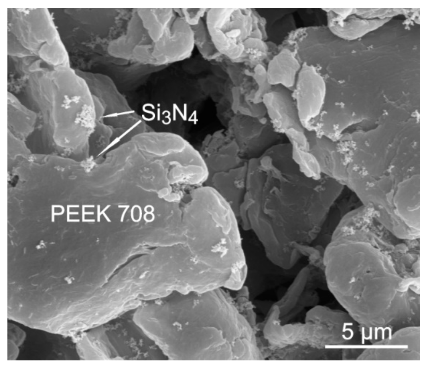 Coatings 09 00530 g012