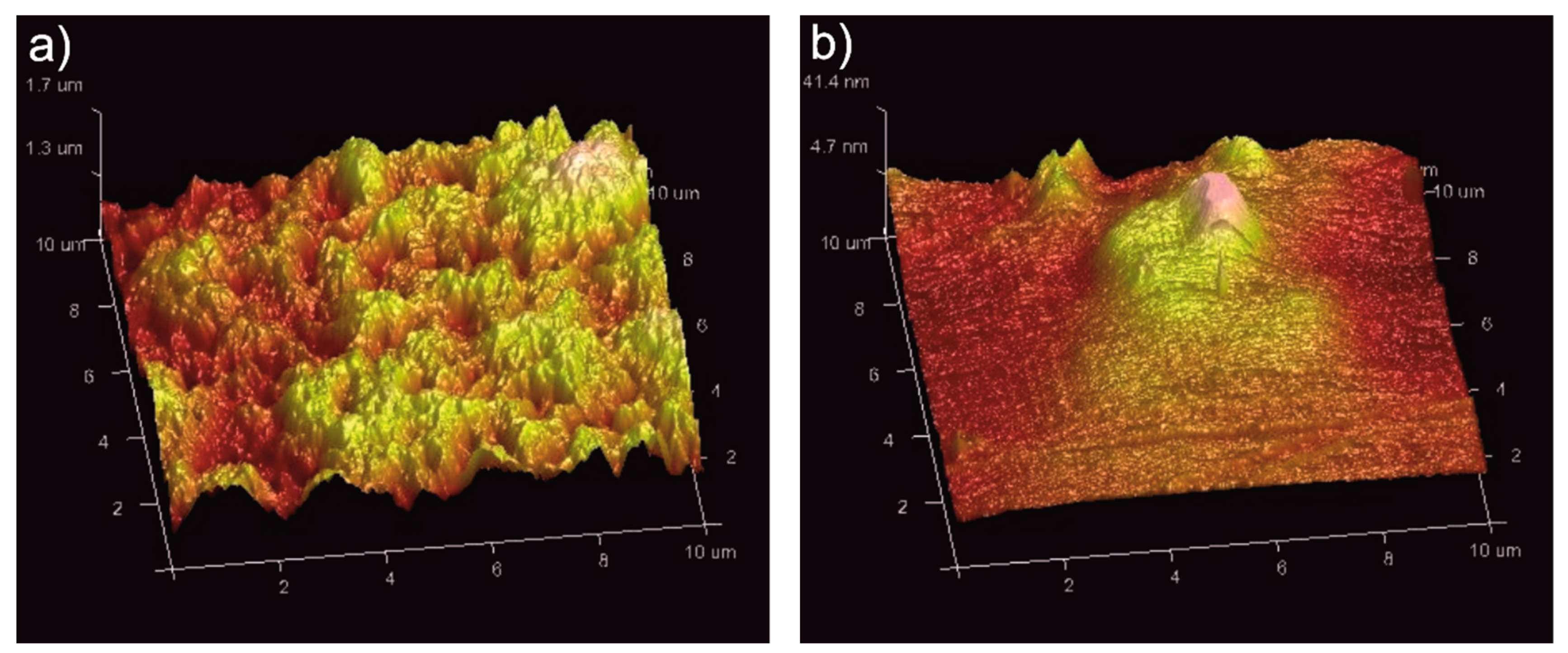 Coatings 09 00530 g016