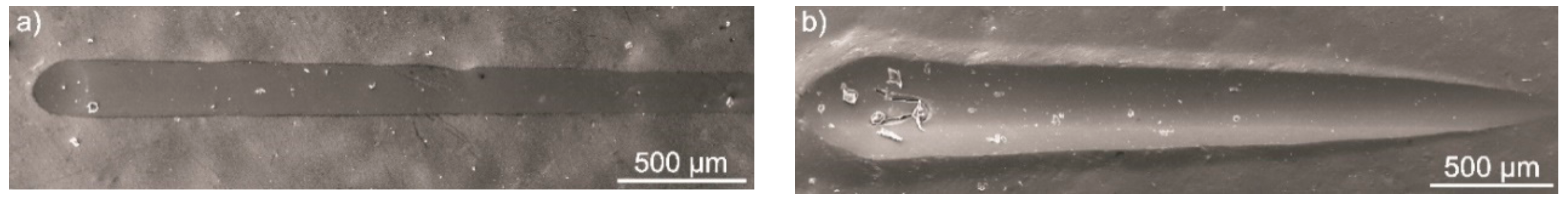 Coatings 09 00530 g017