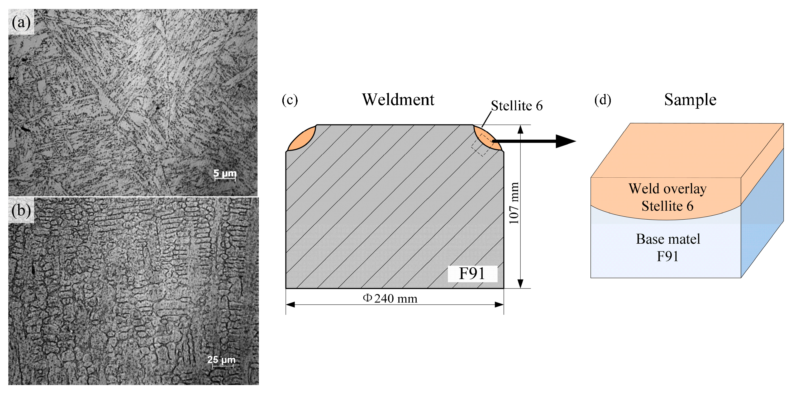 Coatings Free Full Text Microstructure Evolution And Failure Behavior Of Stellite 6 Coating On Steel After Long Time Service Html