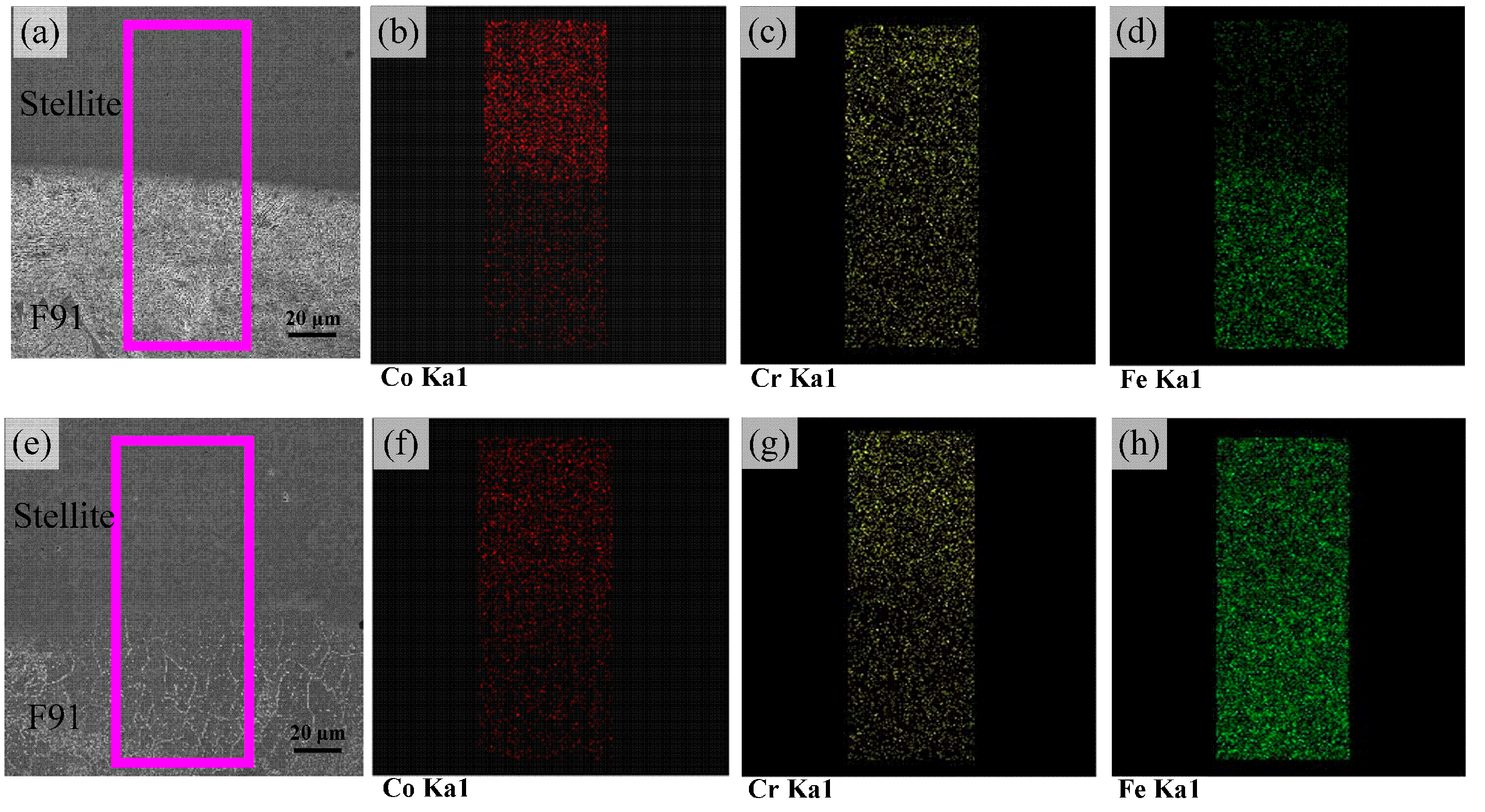 Coatings 09 00532 g005