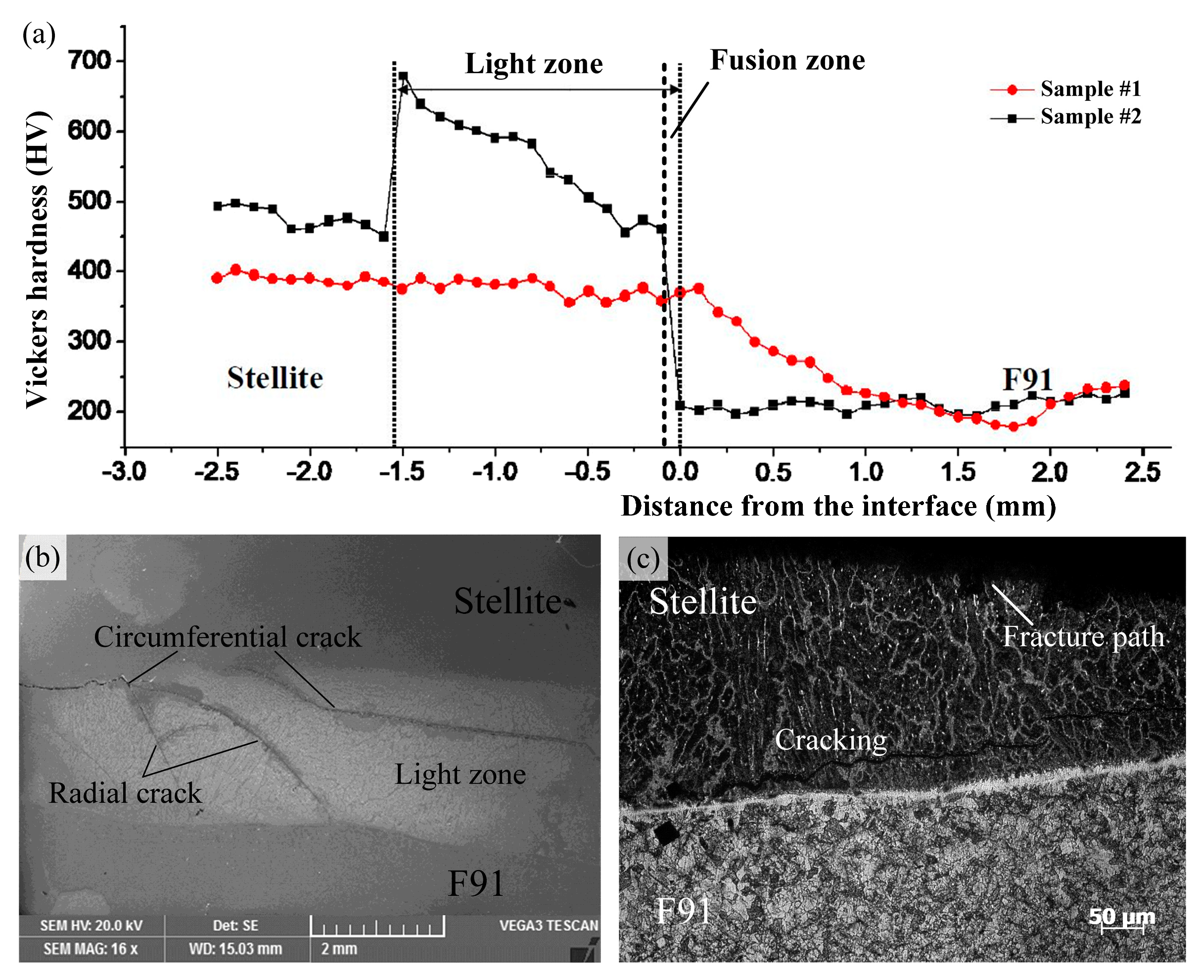 Coatings 09 00532 g008