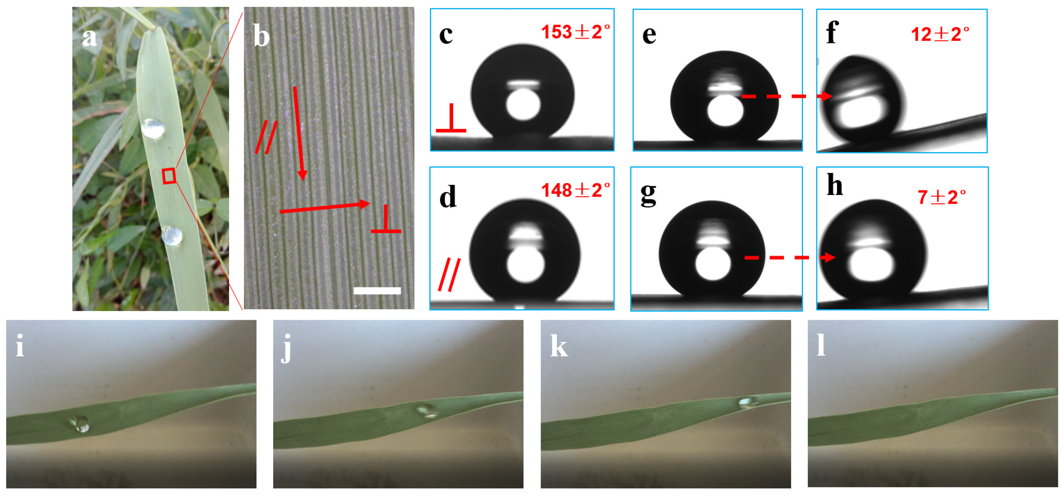 Coatings 09 00541 g002