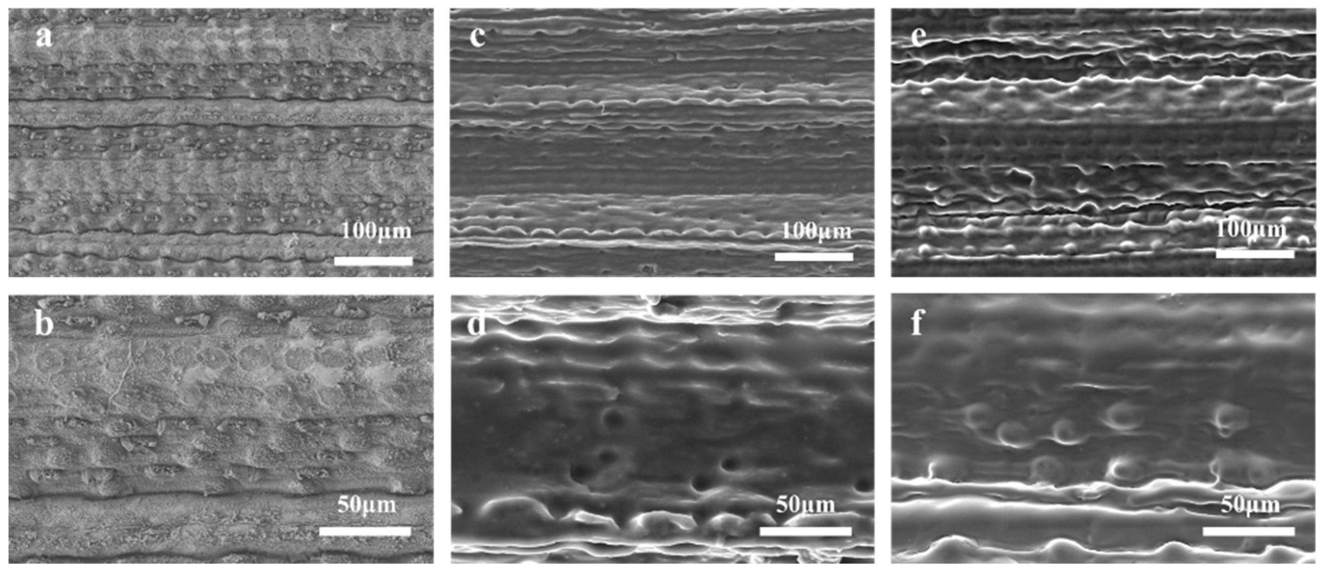 Coatings 09 00541 g007