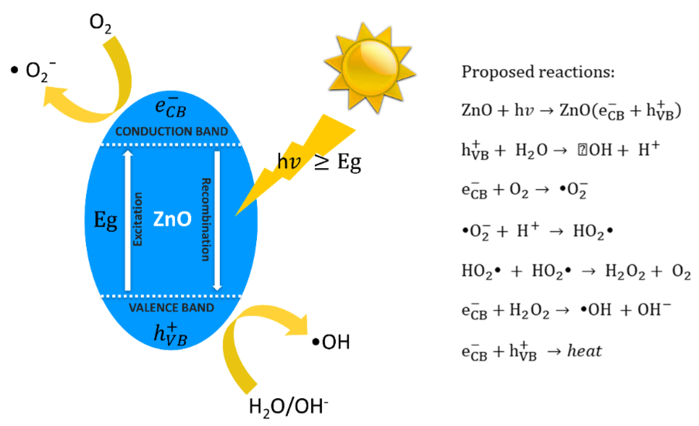 Coatings 09 00550 g002