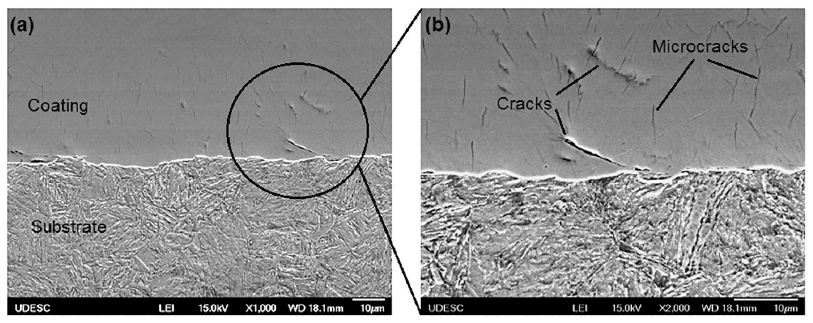 Coatings 09 00552 g001