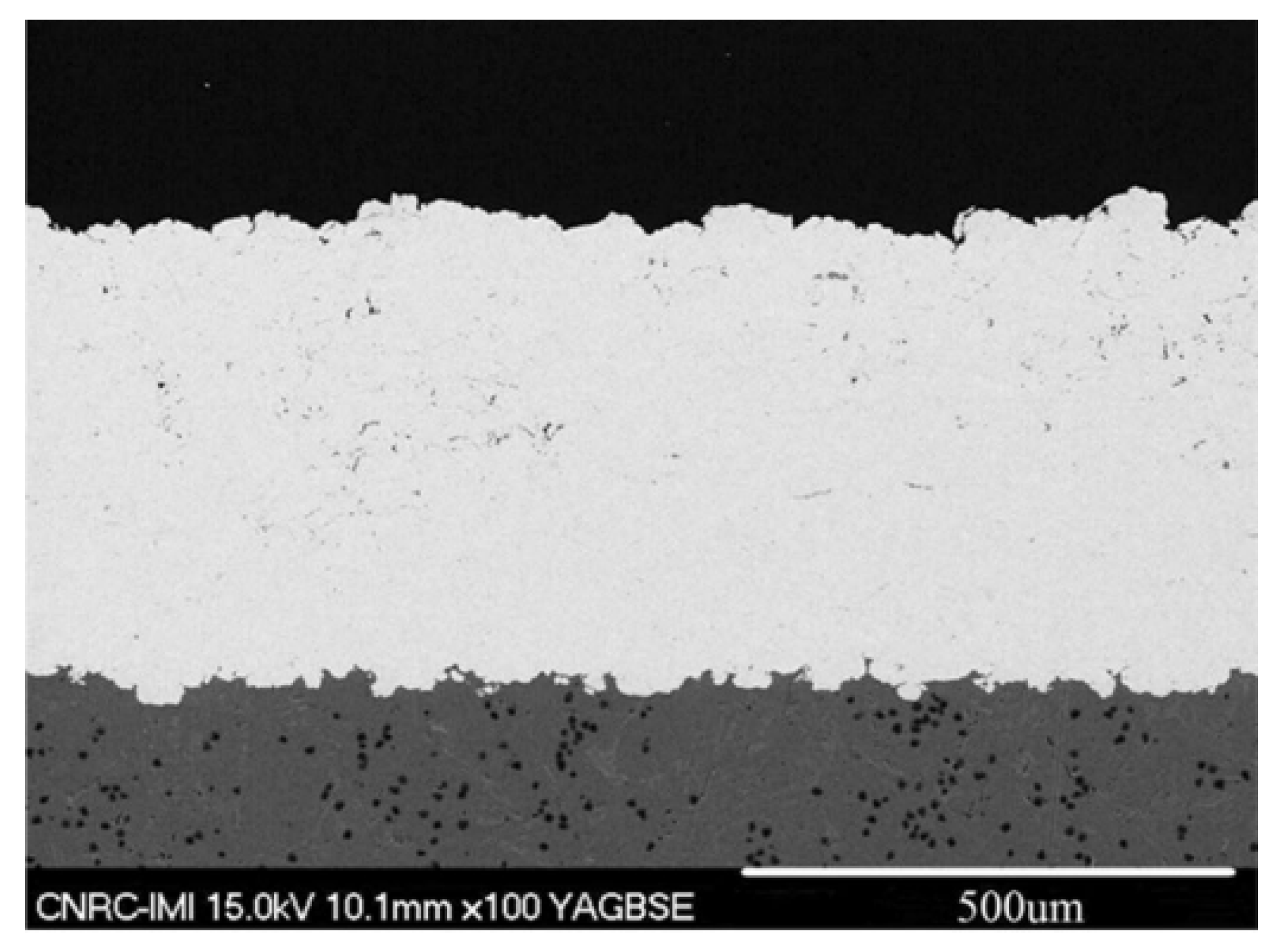 Coatings 09 00552 g009