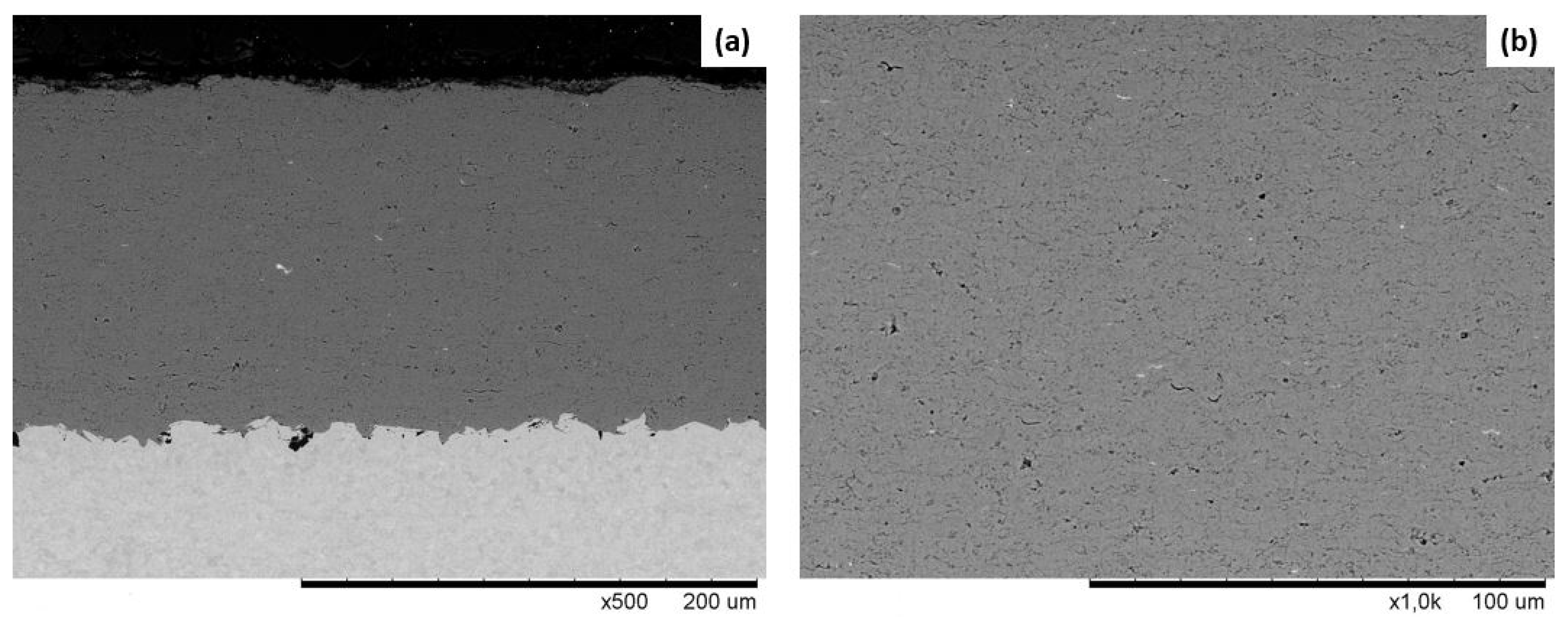 Coatings 09 00552 g012