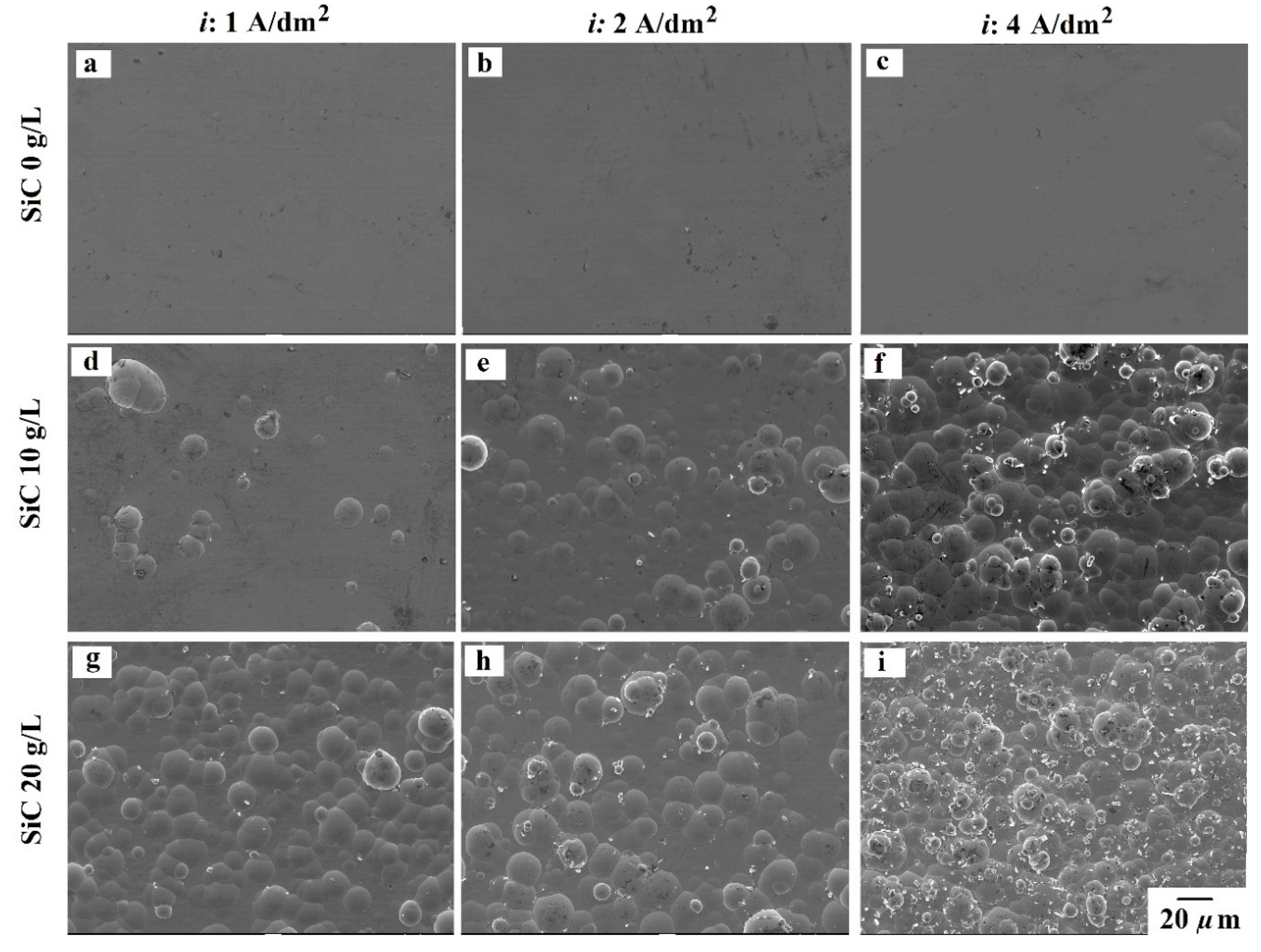 Coatings 09 00554 g002