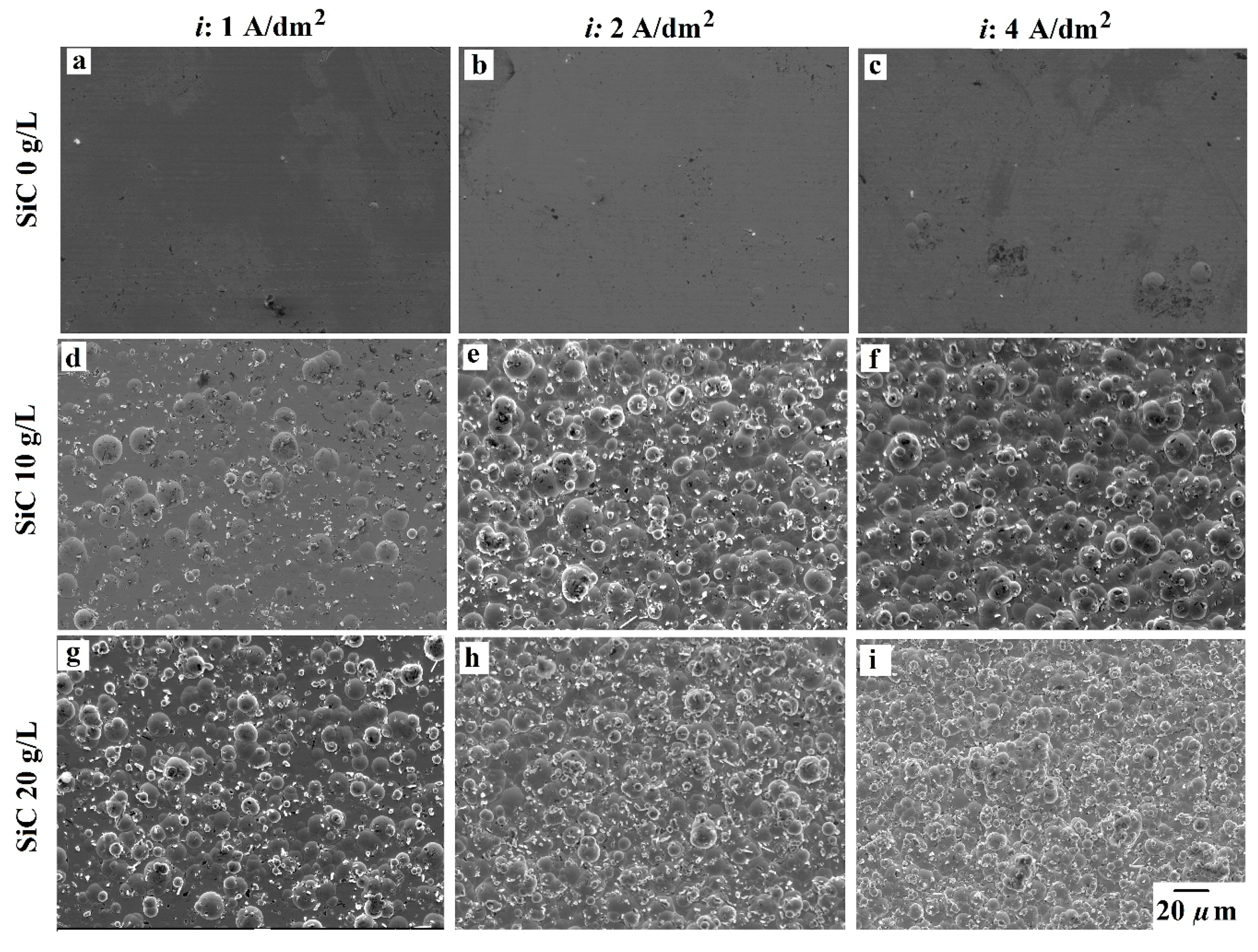 Coatings 09 00554 g004