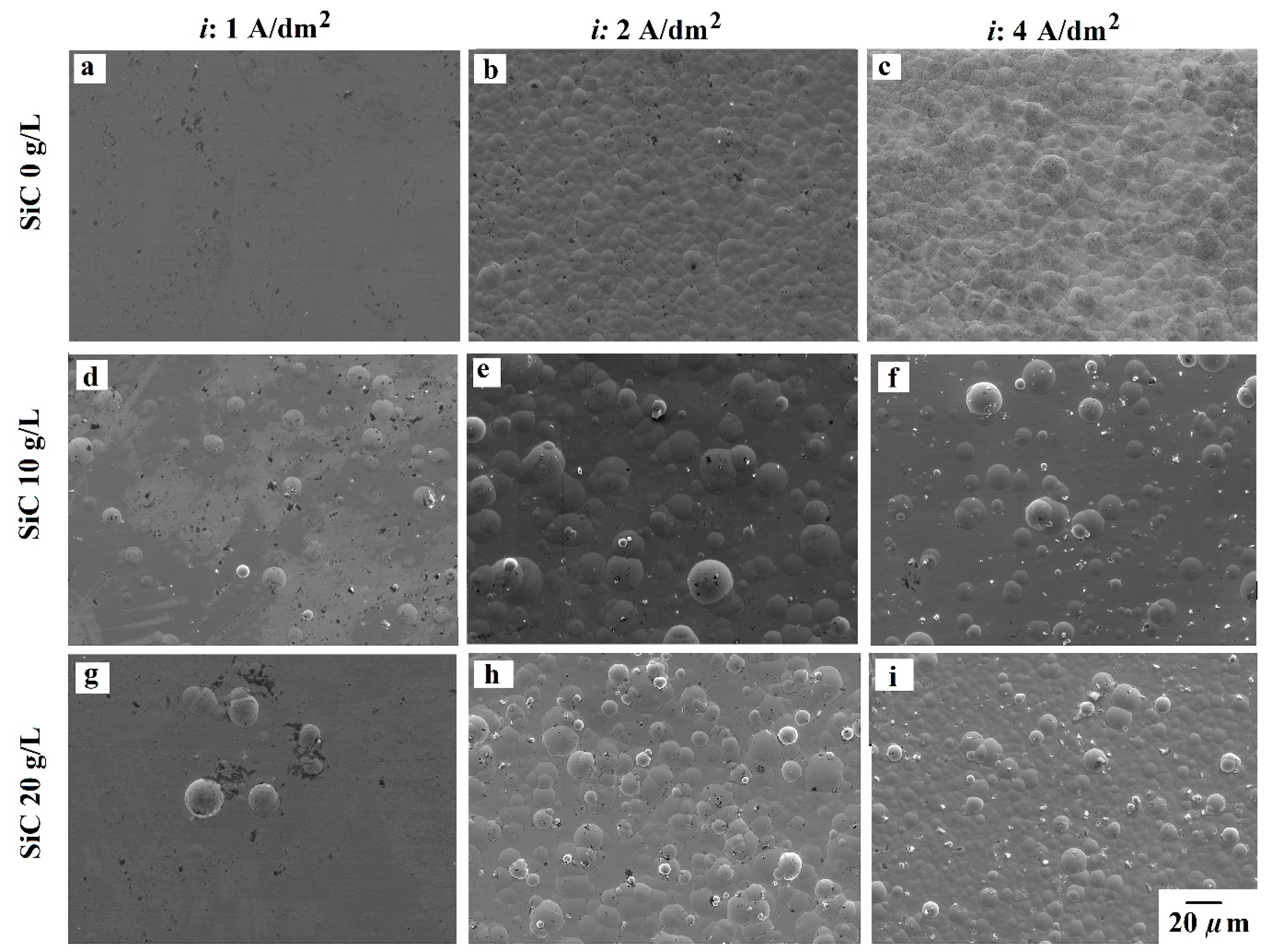 Coatings 09 00554 g005