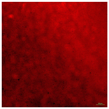 Coatings 09 00560 i003