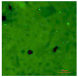 Coatings 09 00560 i005