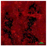 Coatings 09 00560 i016