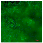 Coatings 09 00560 i018