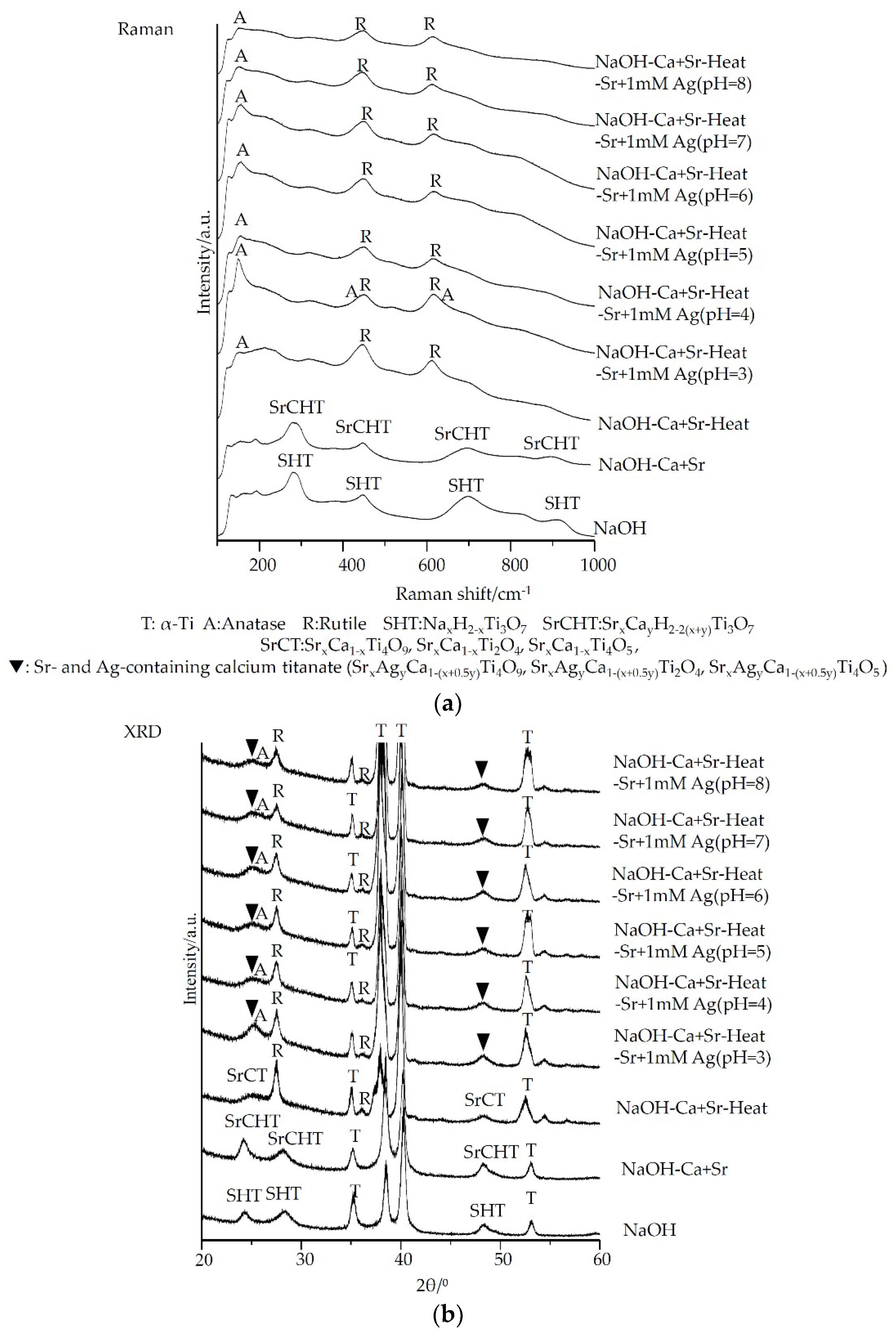 Coatings 09 00561 g001