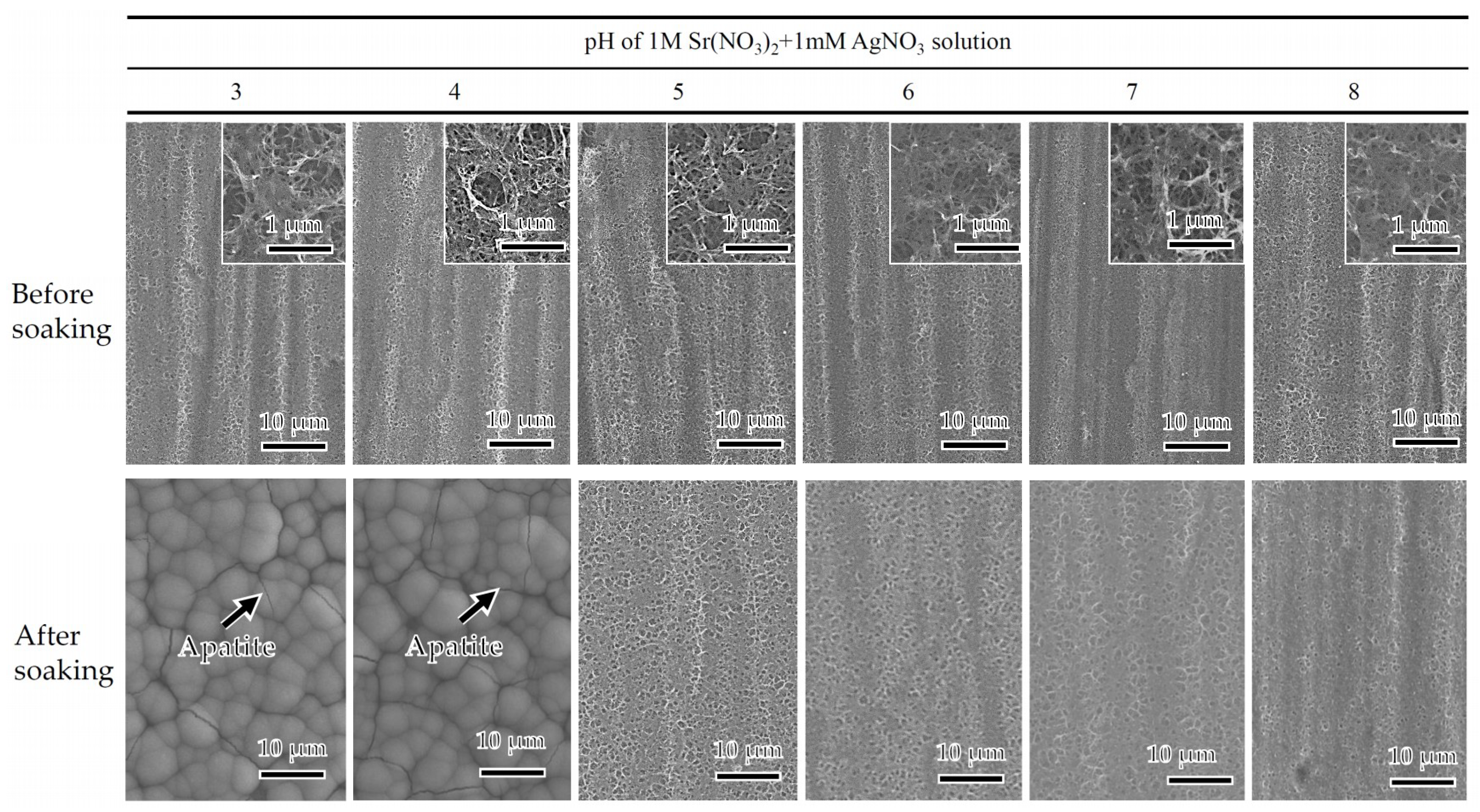 Coatings 09 00561 g004