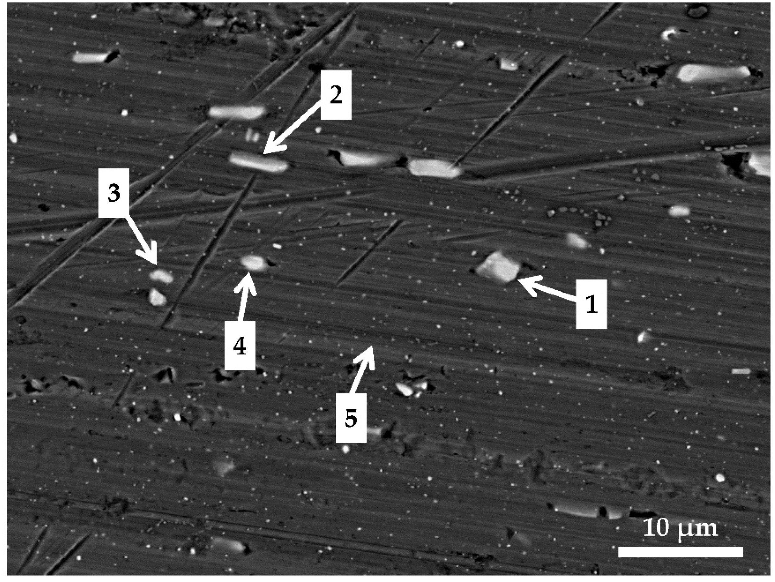 Coatings 09 00563 g003