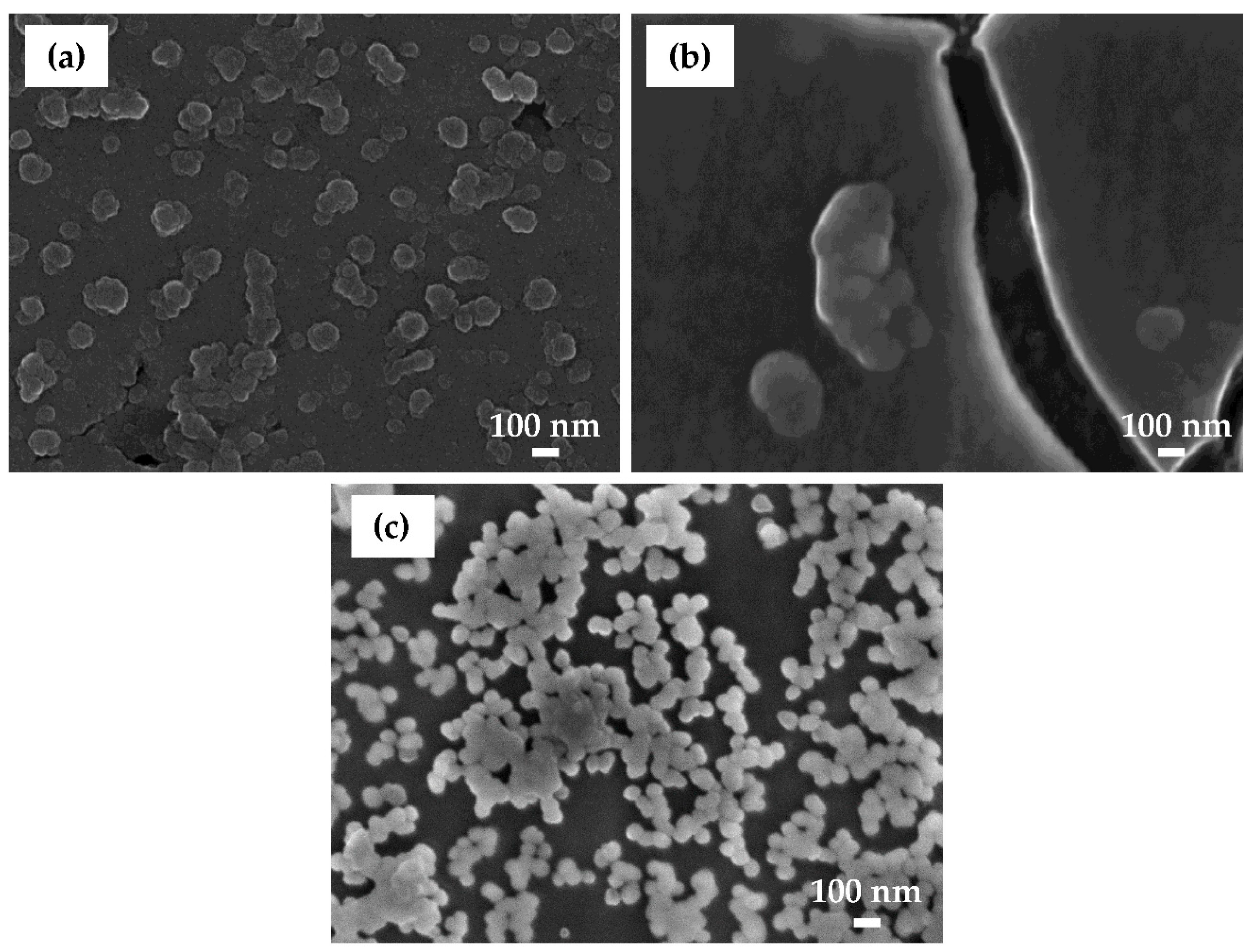 Coatings 09 00563 g009