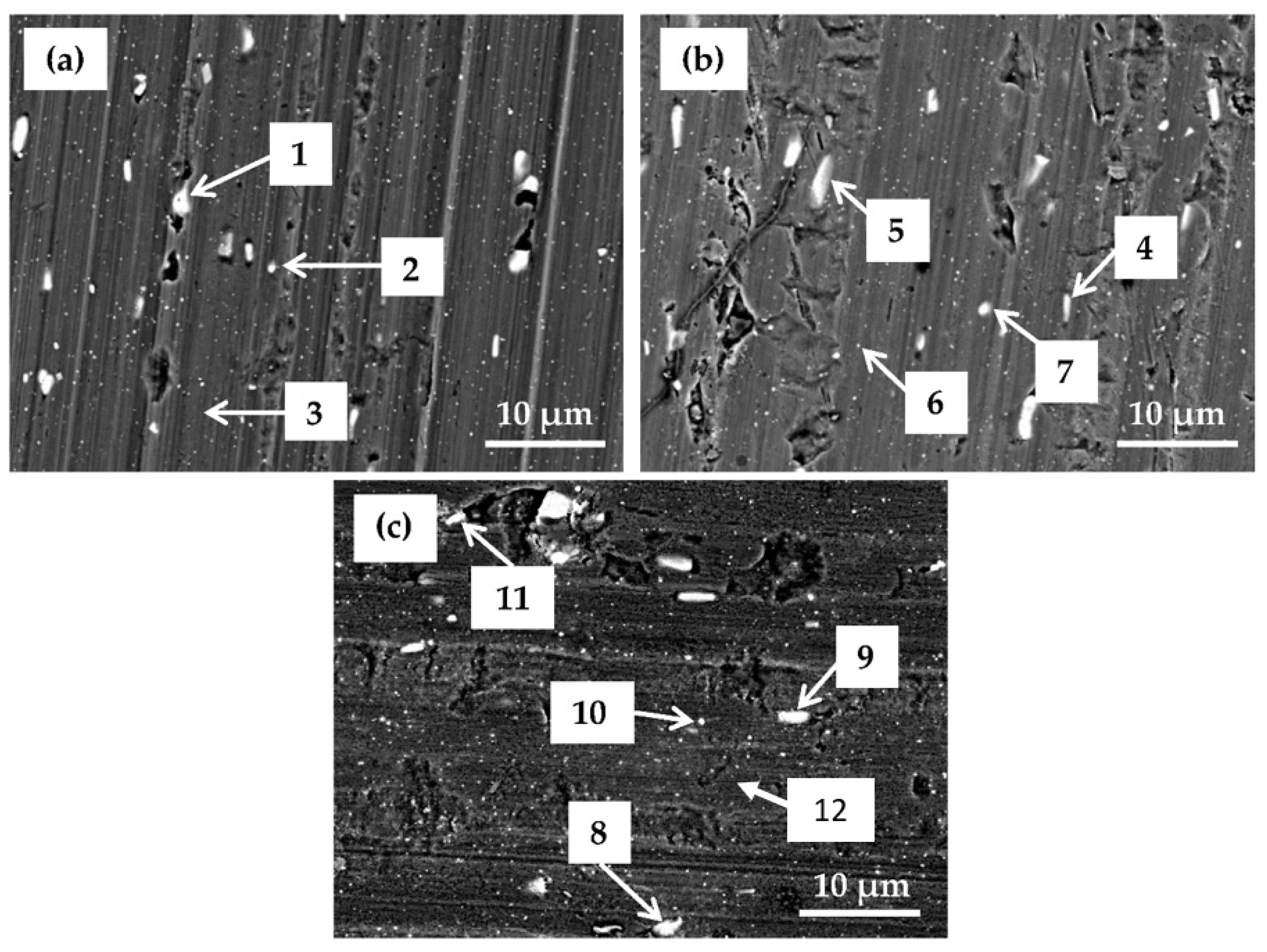 Coatings 09 00563 g014
