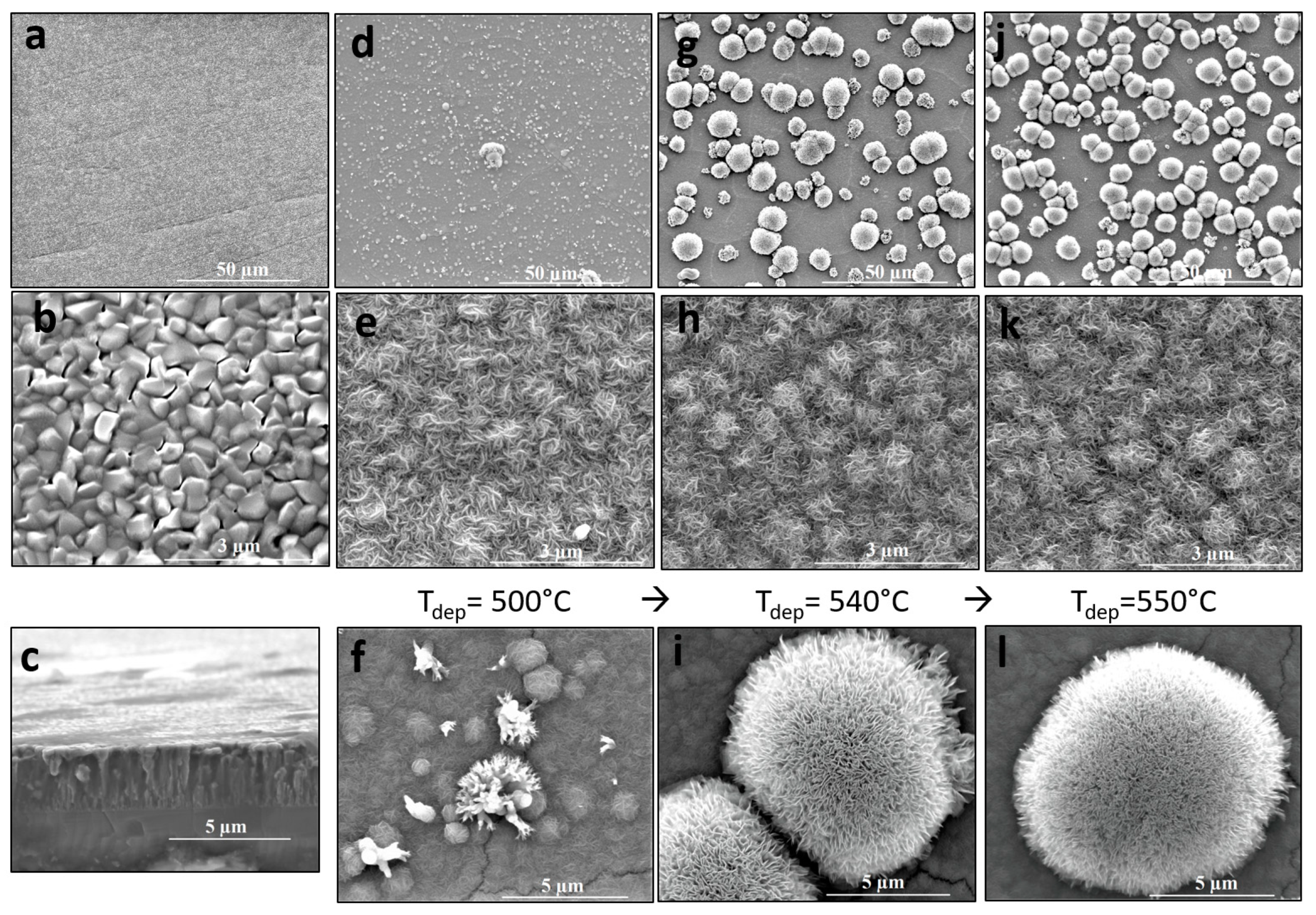 Coatings 09 00564 g001