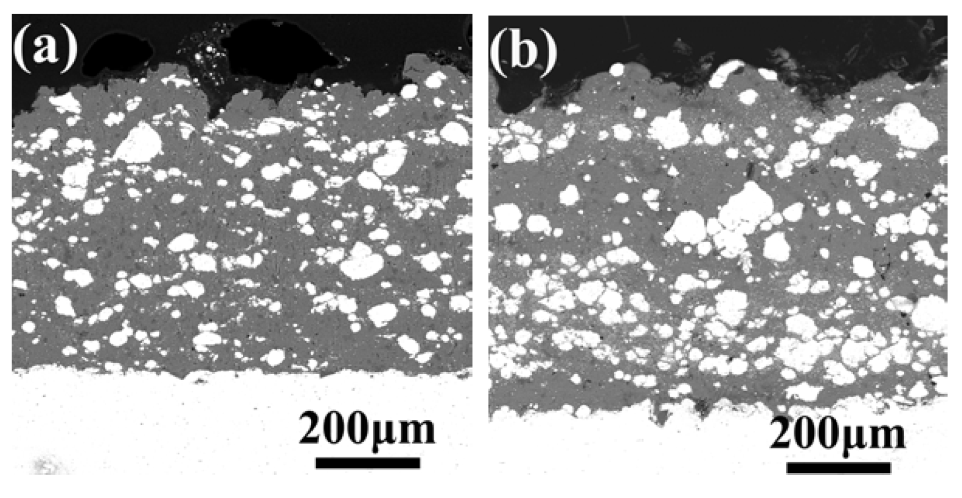Coatings 09 00565 g004a