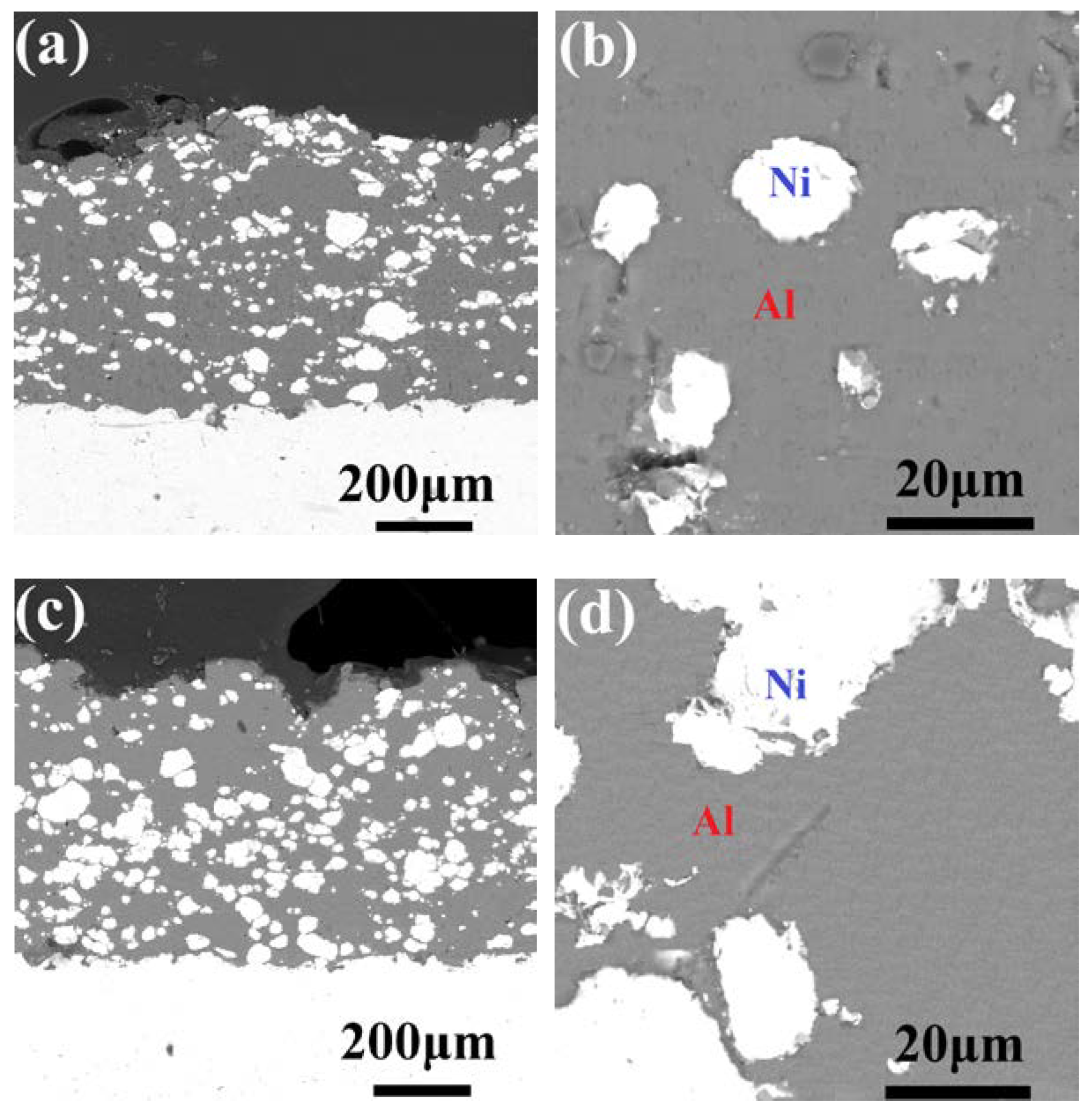 Coatings 09 00565 g005