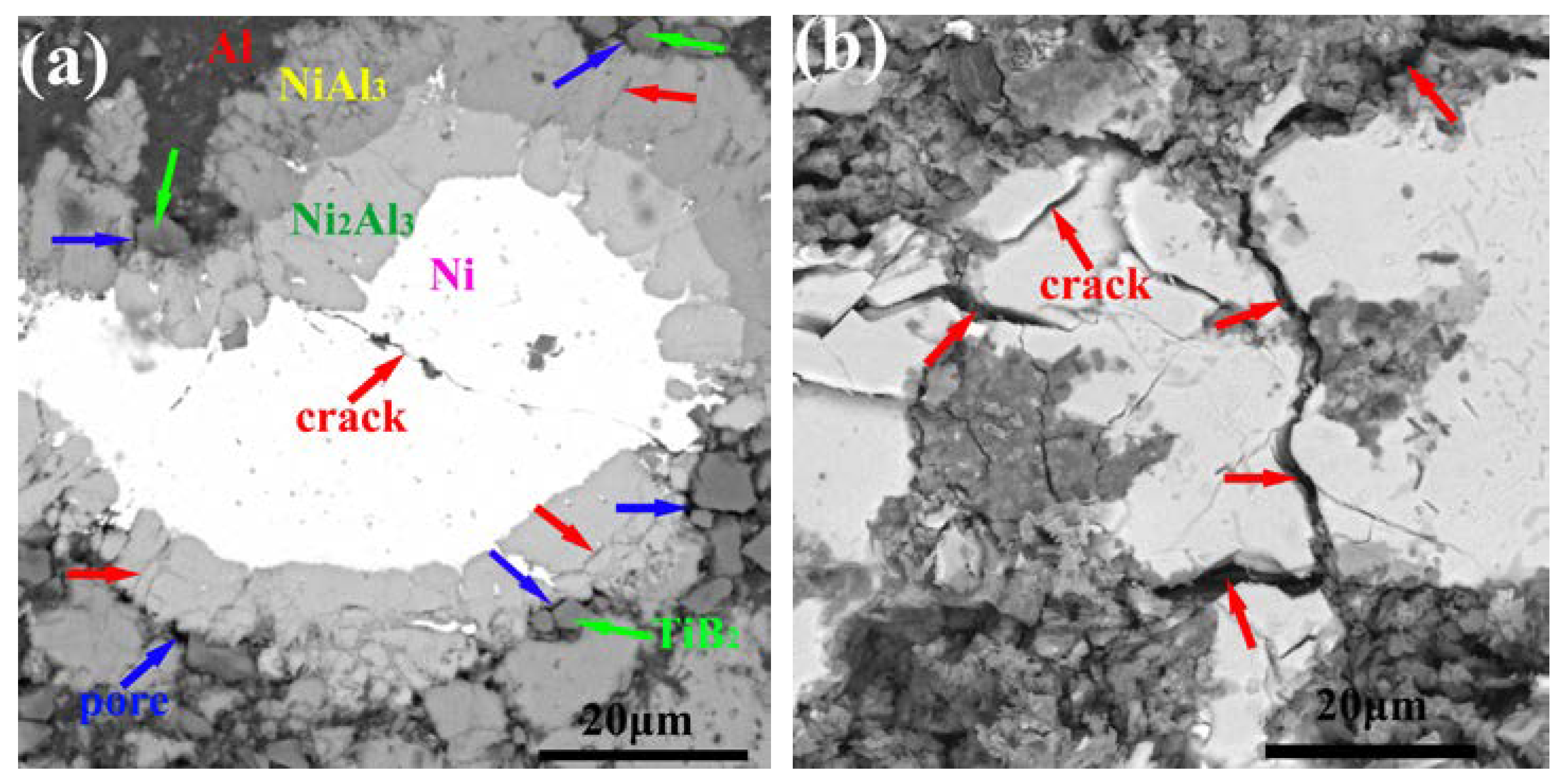 Coatings 09 00565 g017