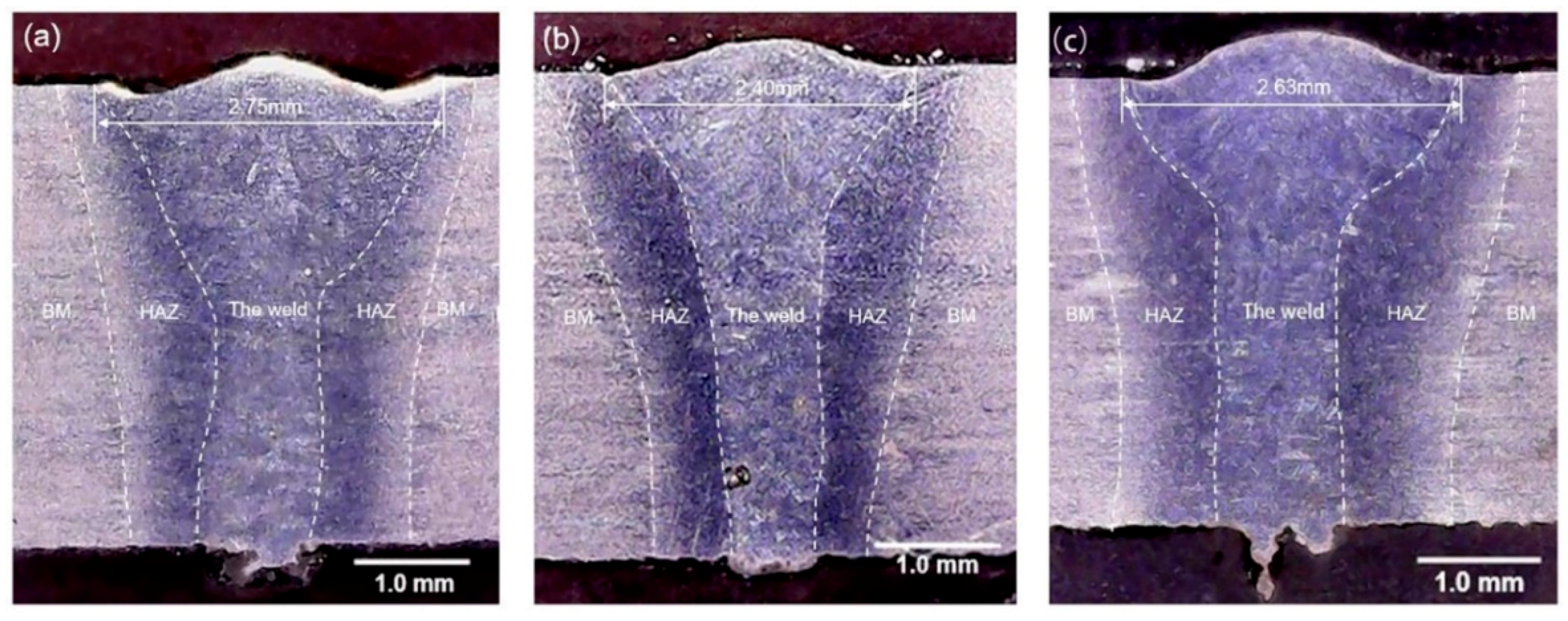 Coatings 09 00566 g001
