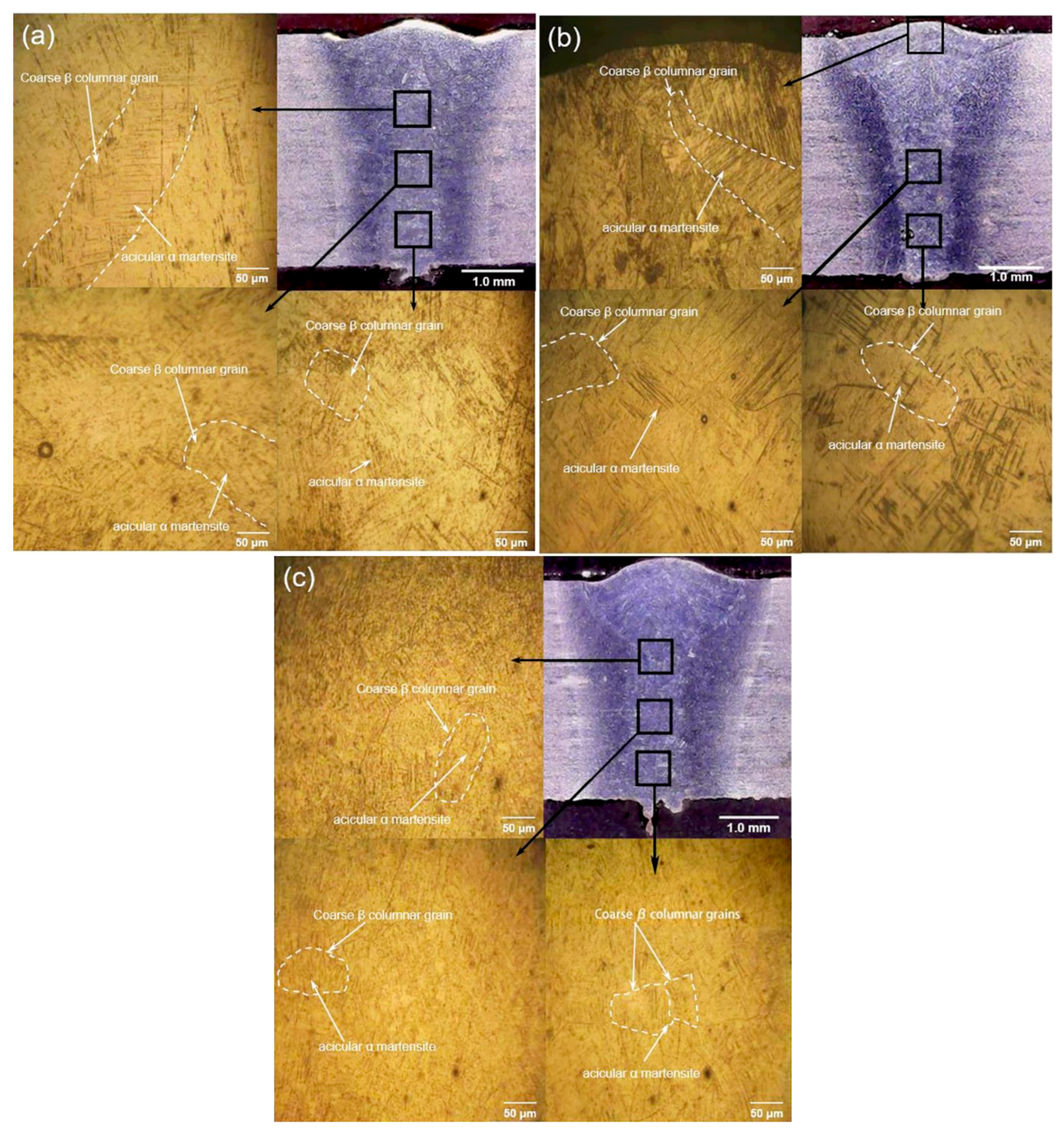 Coatings 09 00566 g004